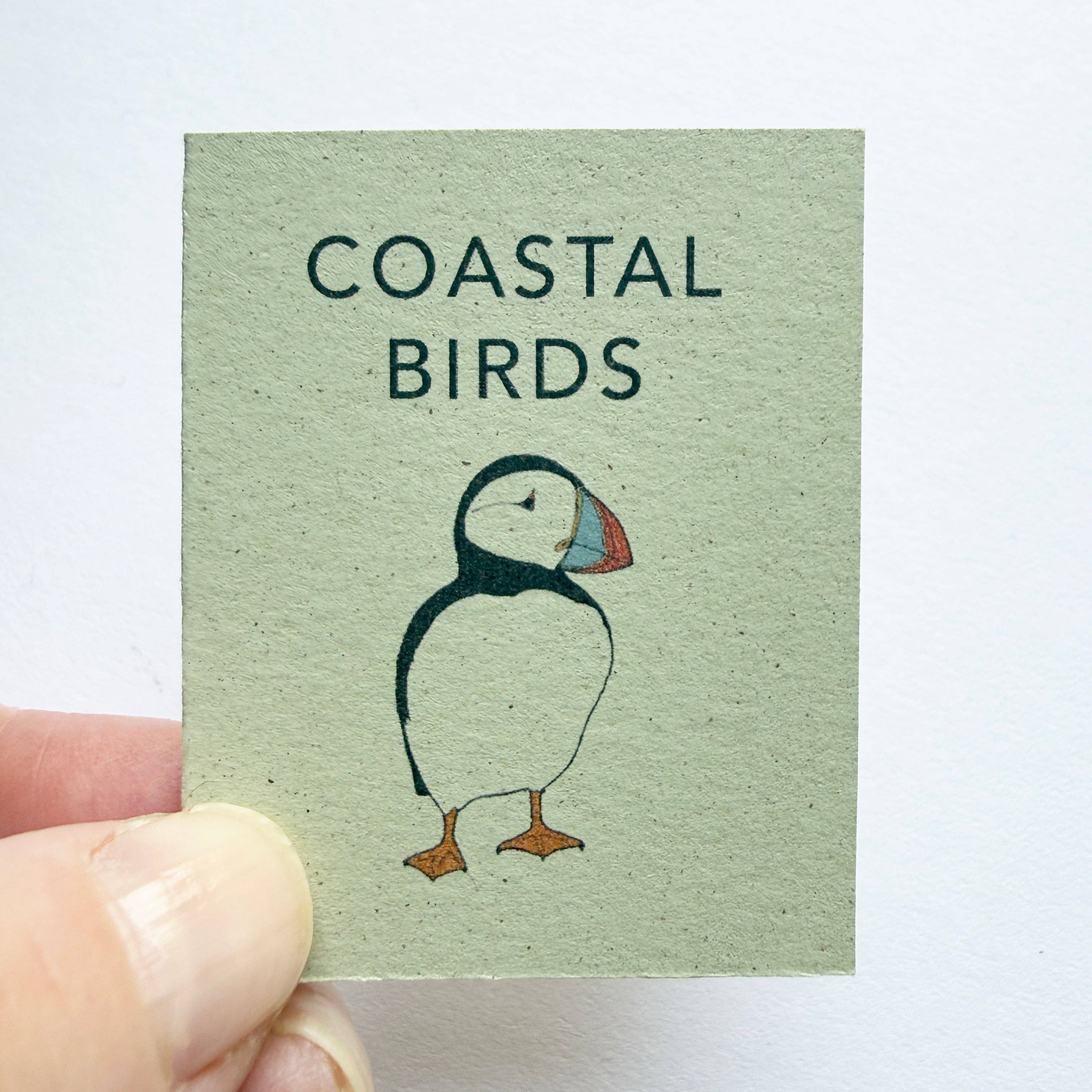 Tiny Nature Books