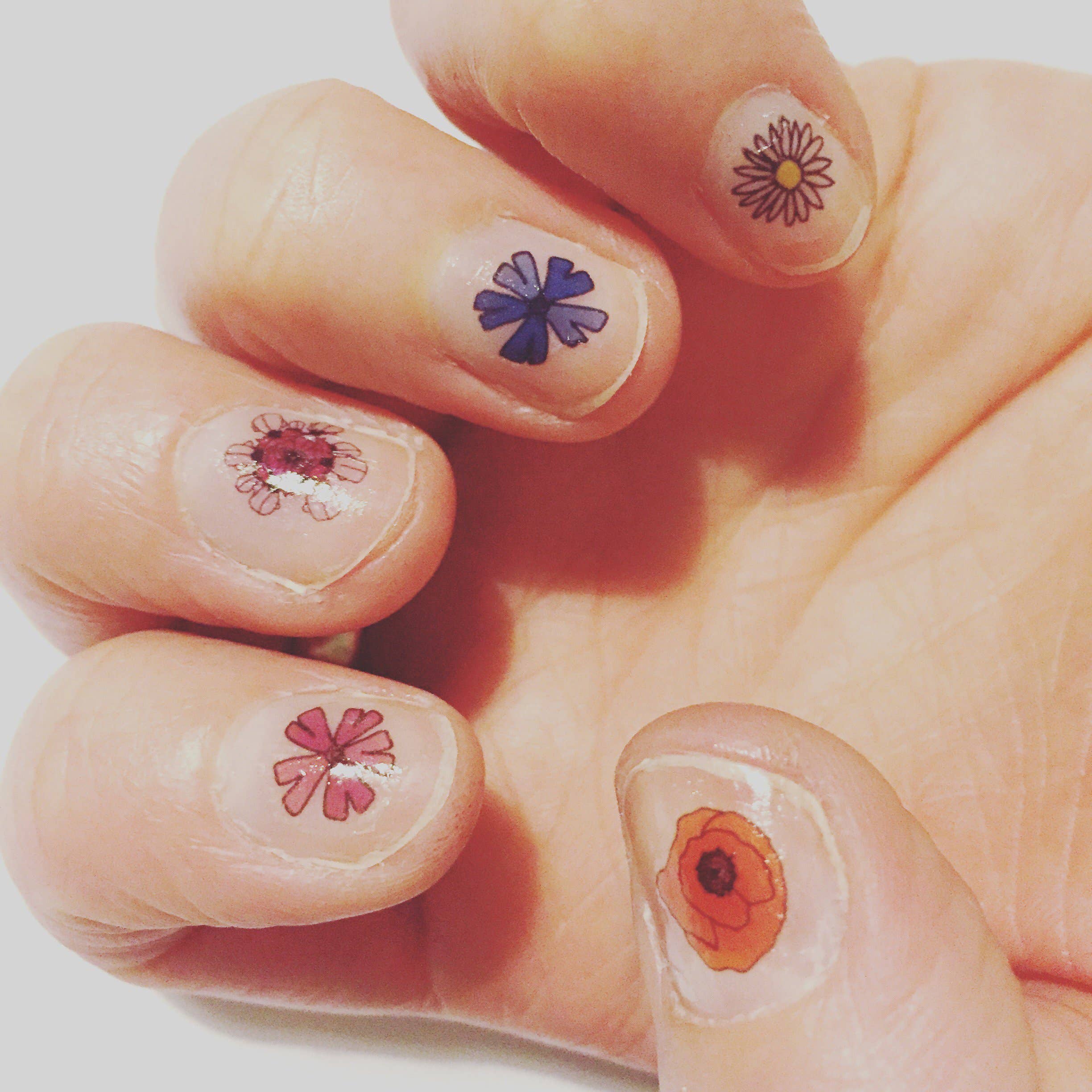 Wildflower Nail Art Transfers