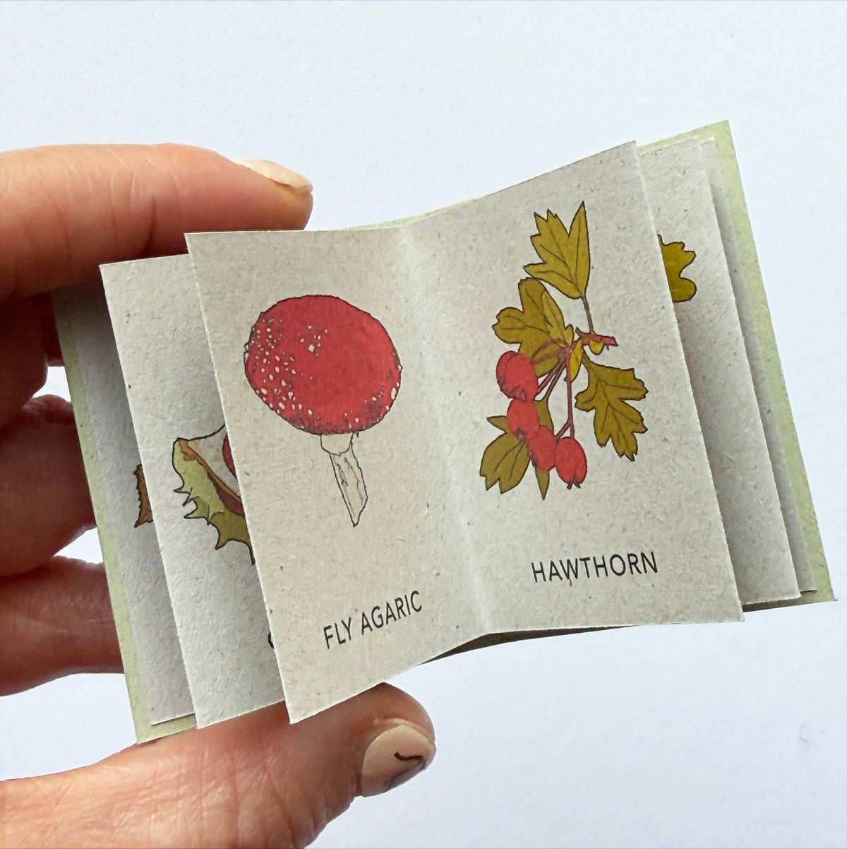 Tiny Nature Books