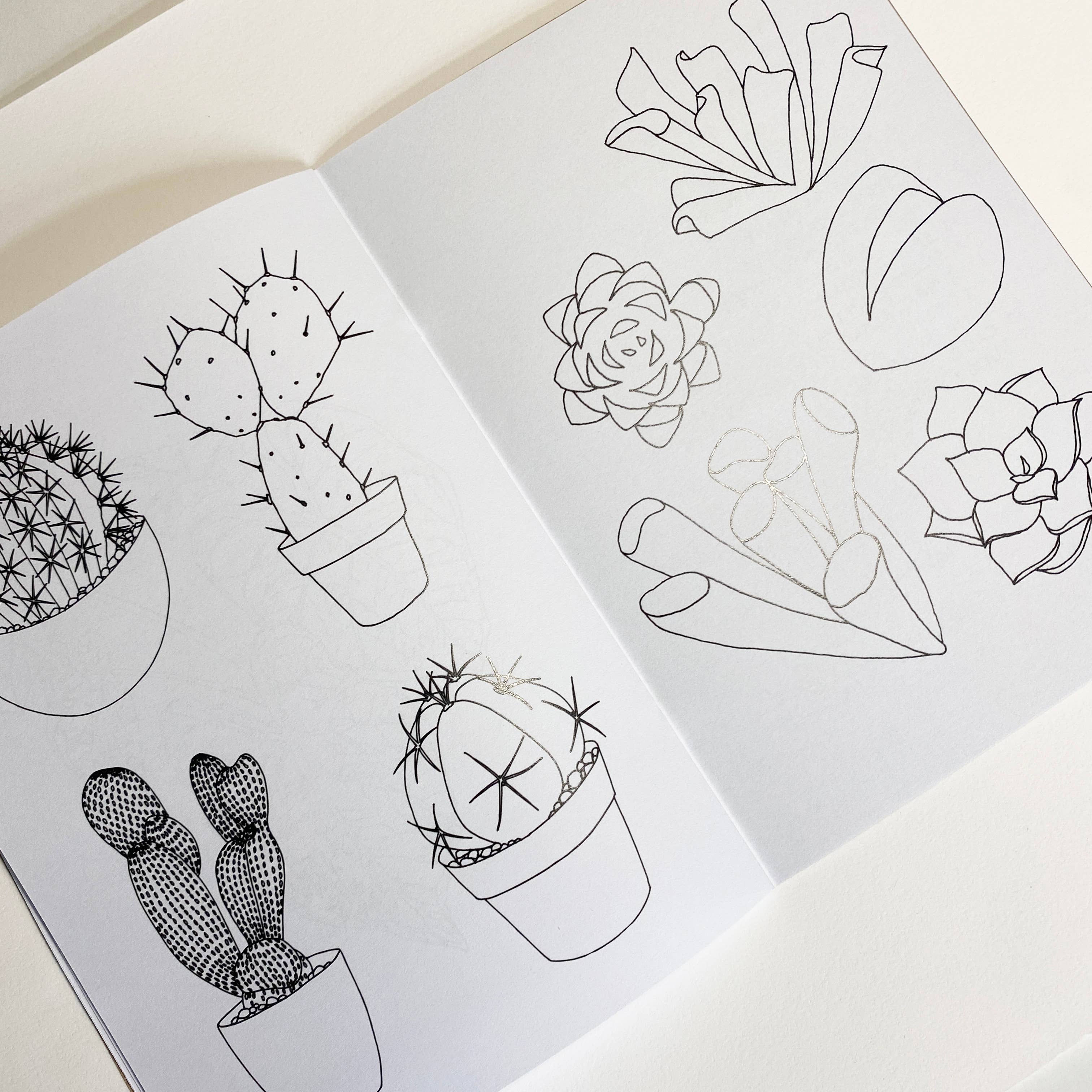 House Plant Colouring Book