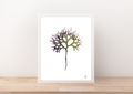 Pressed Seaweed Art Prints