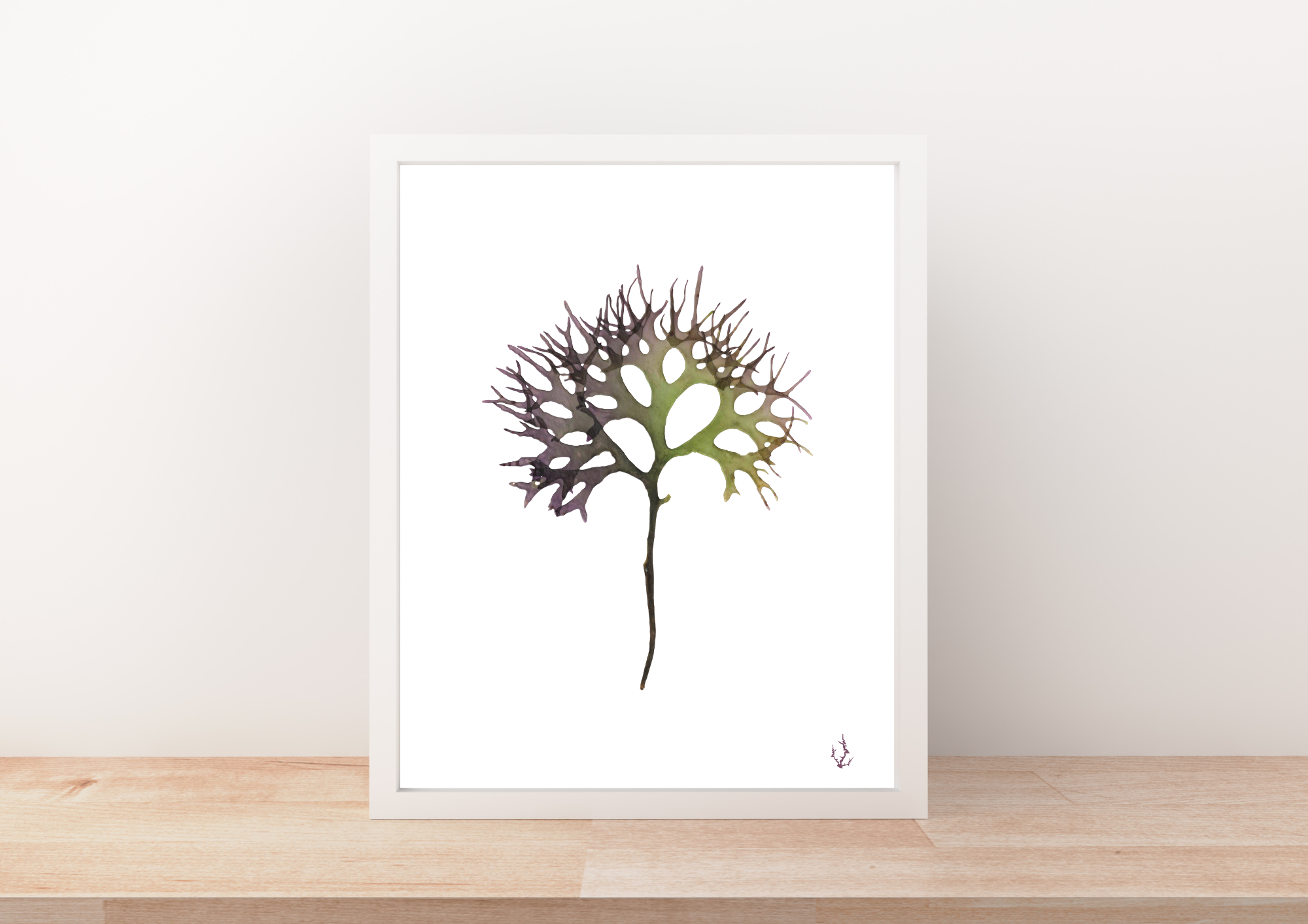 Pressed Seaweed Art Prints