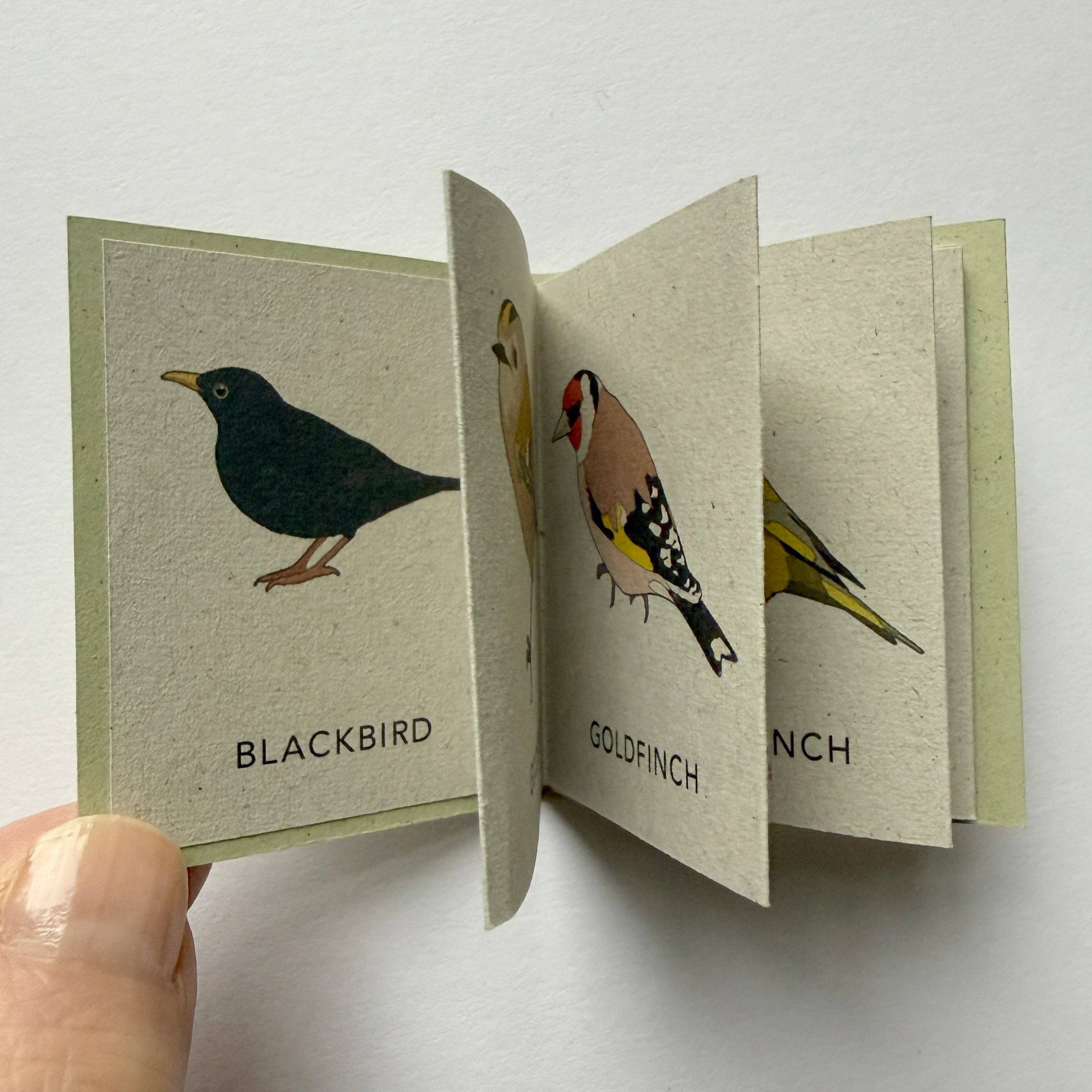 Tiny Nature Books