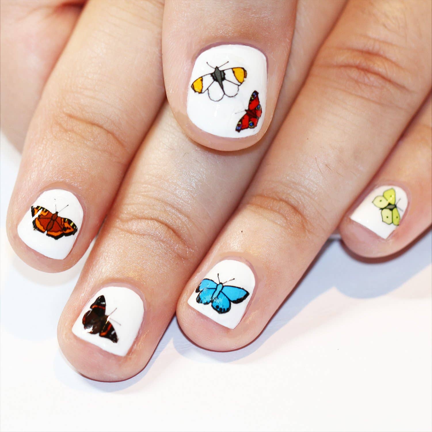 Butterfly Nail Art Transfers