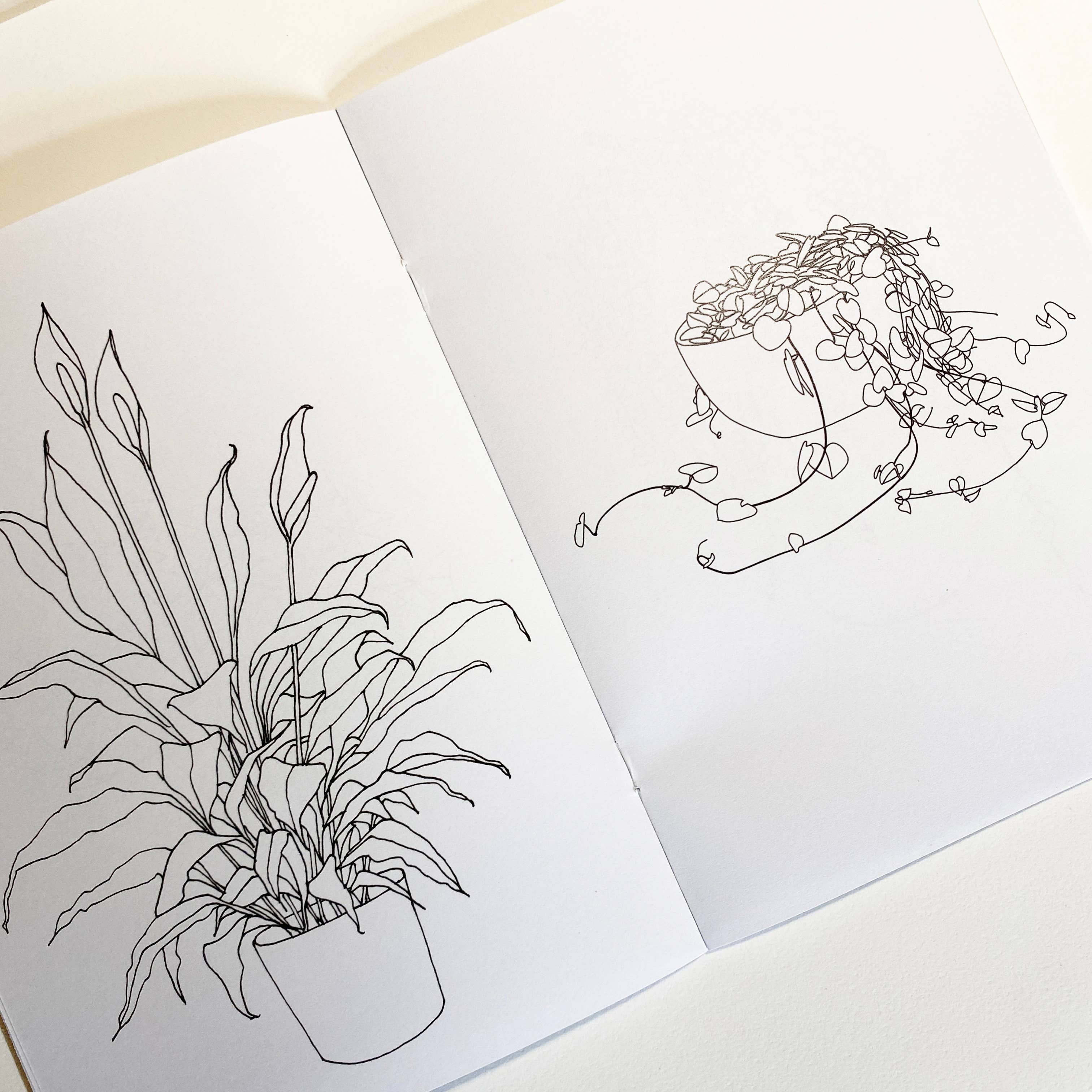 House Plant Colouring Book