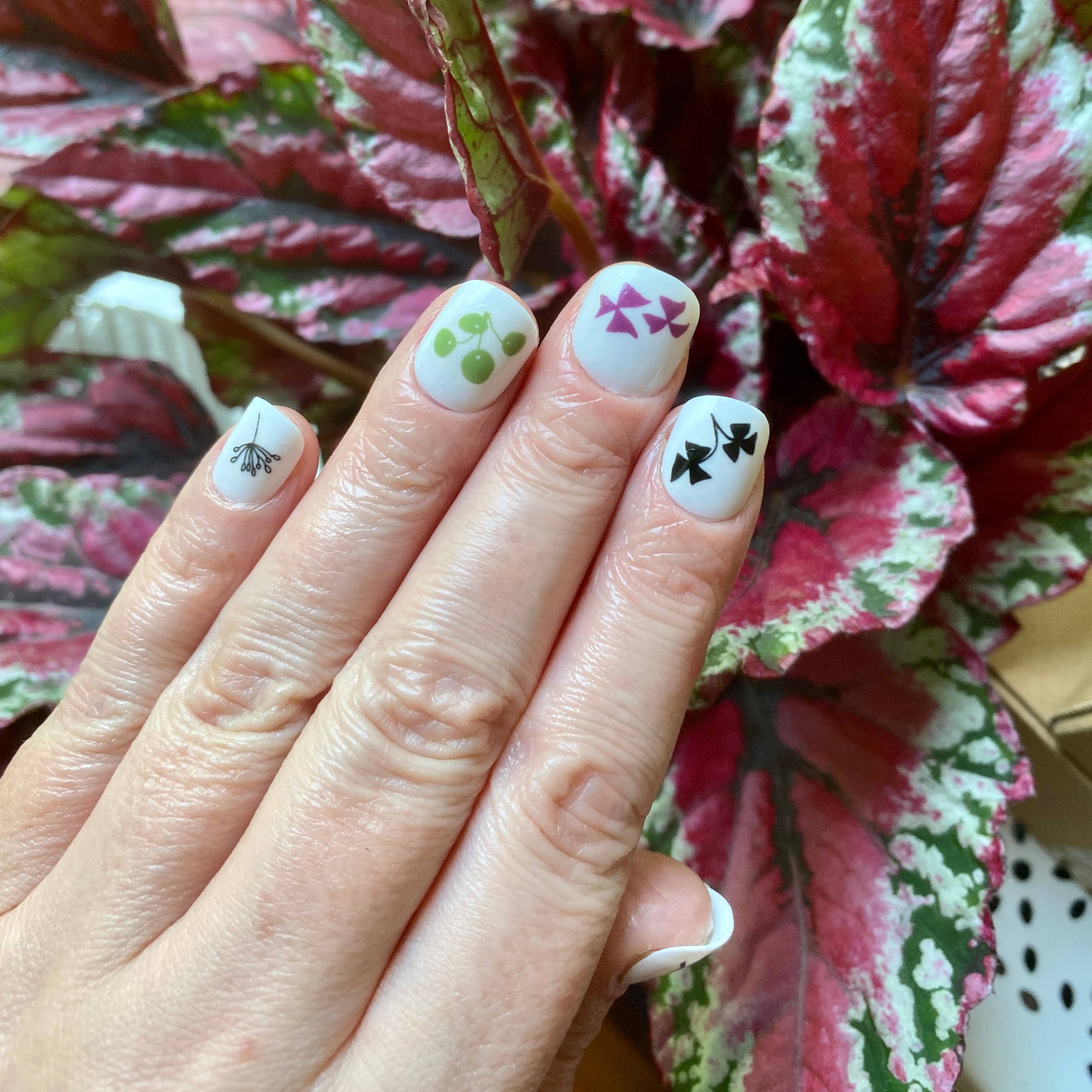 Plant Nail Art Transfers