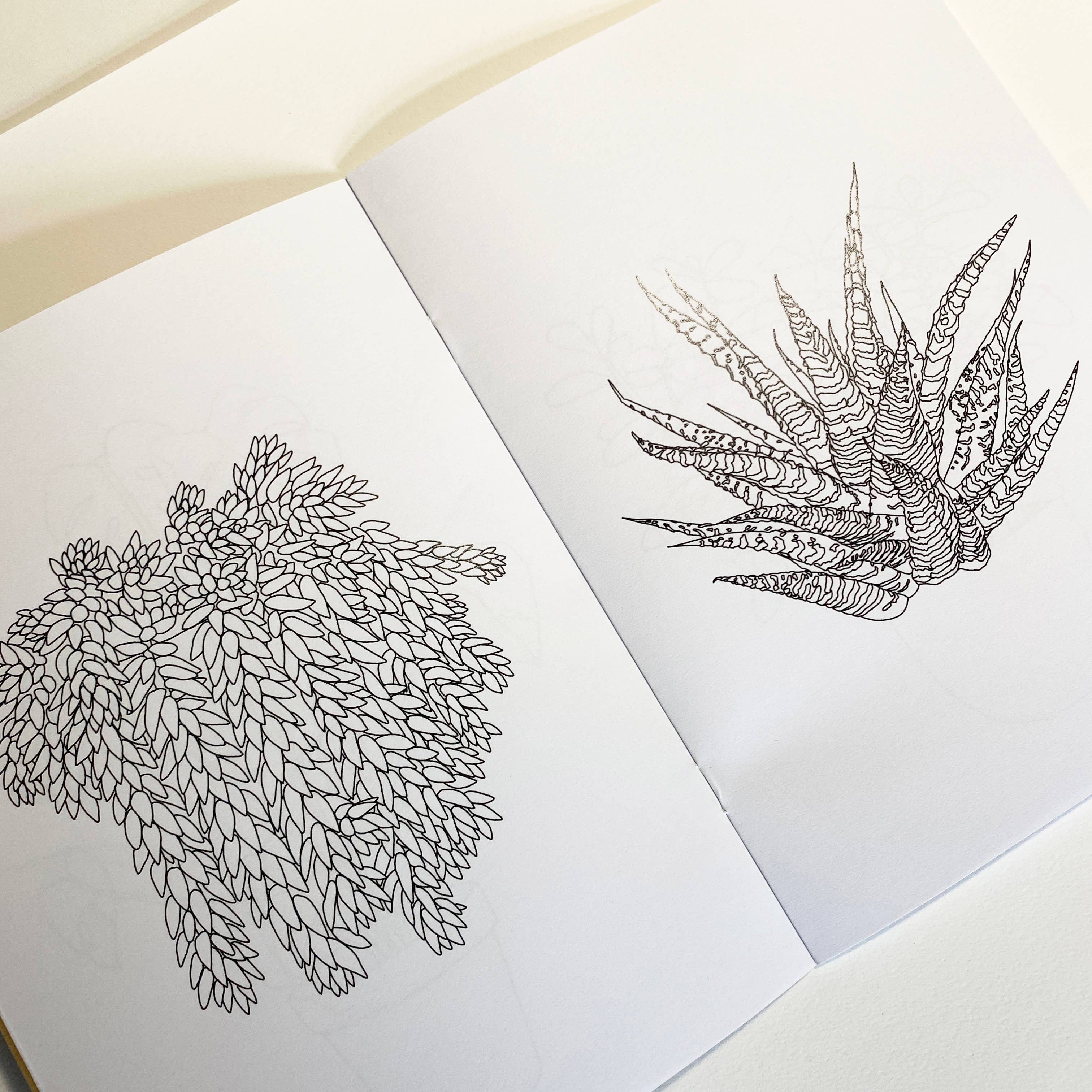 House Plant Colouring Book