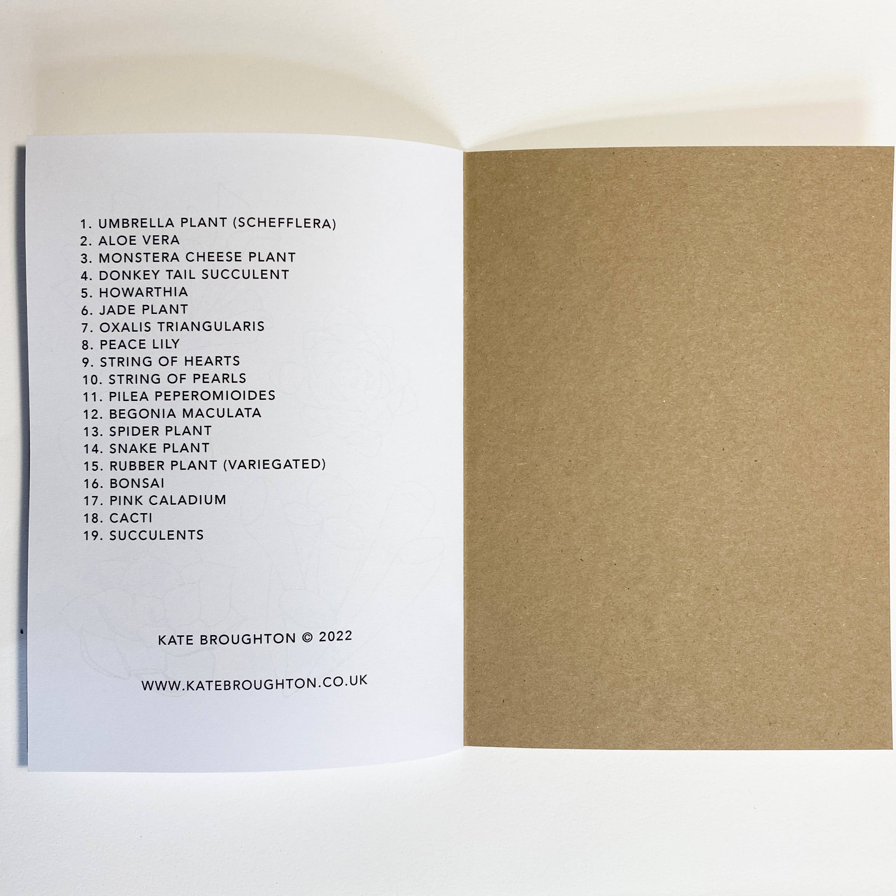 House Plant Colouring Book