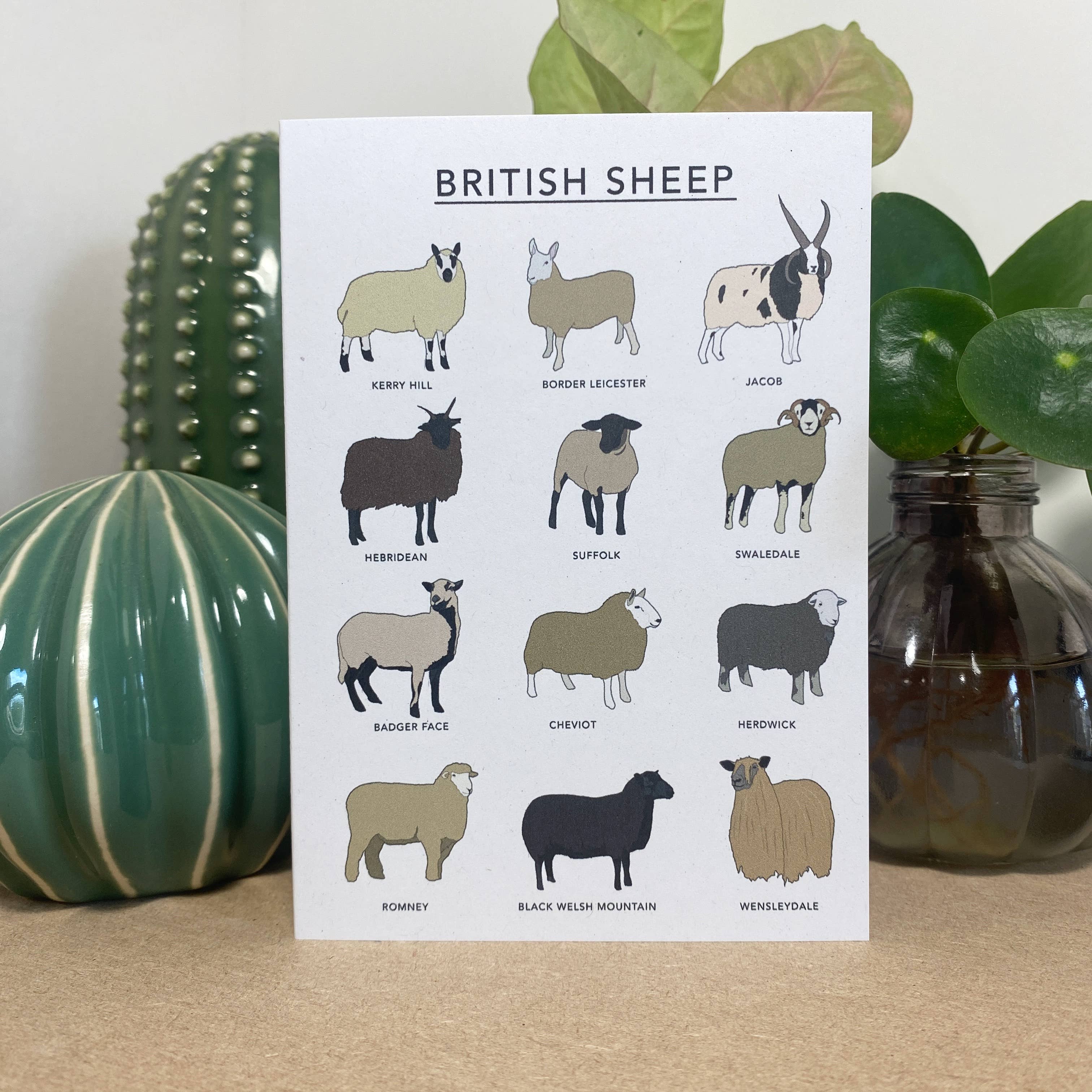 British Sheep Illustrated Greeting Card 
