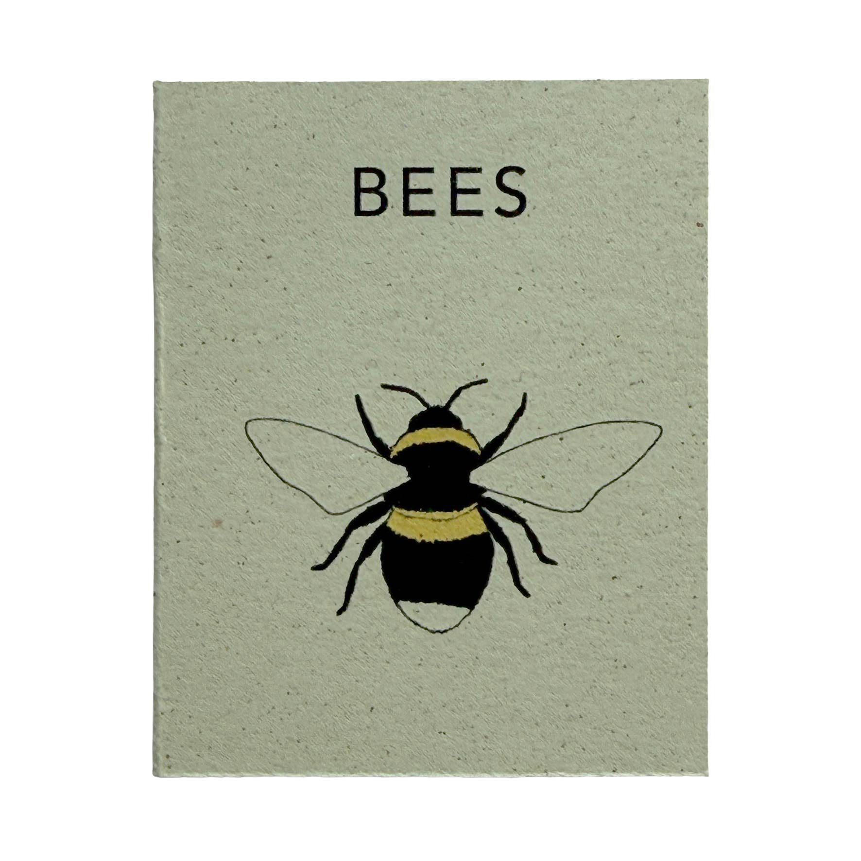 Tiny Nature Books