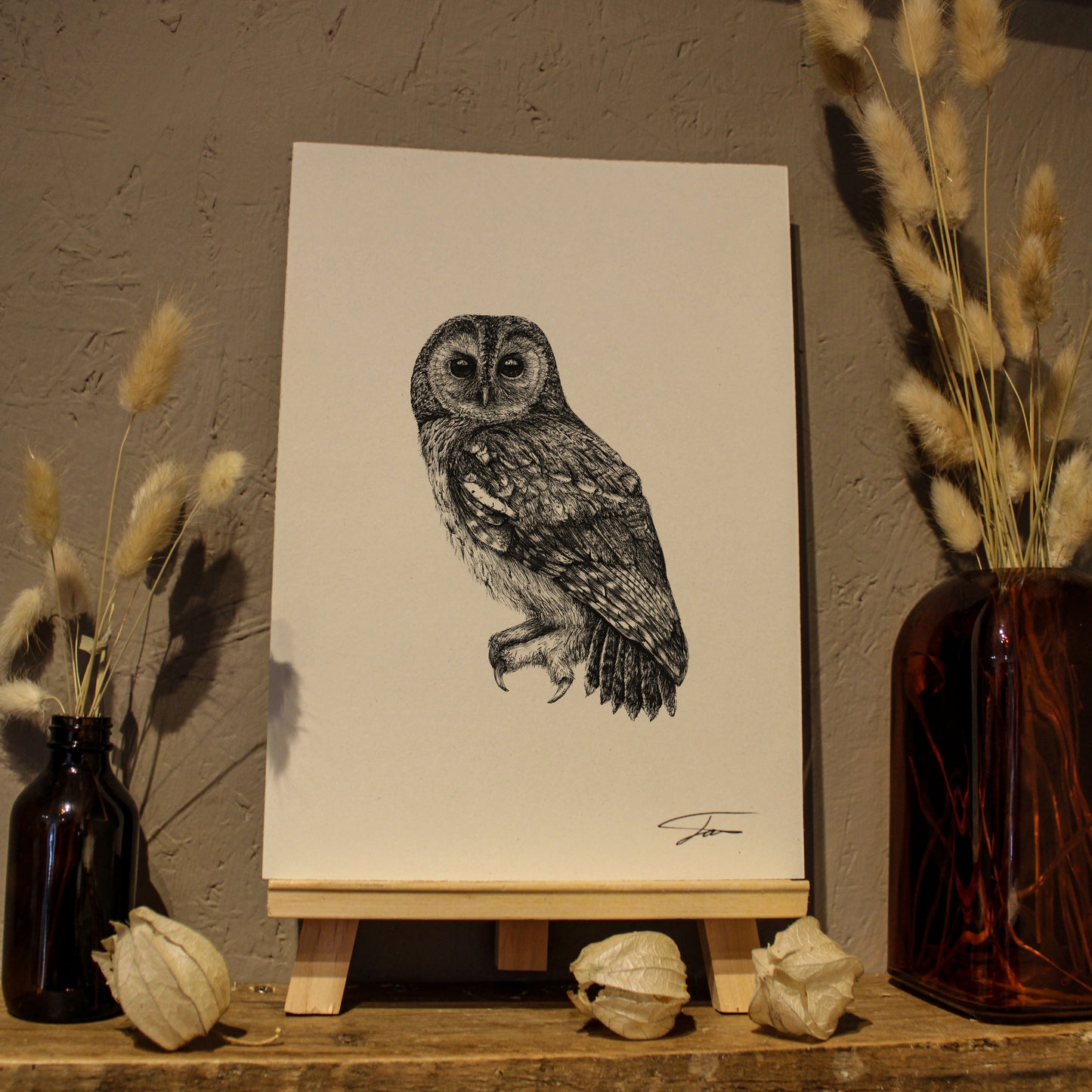 Owl Art Print