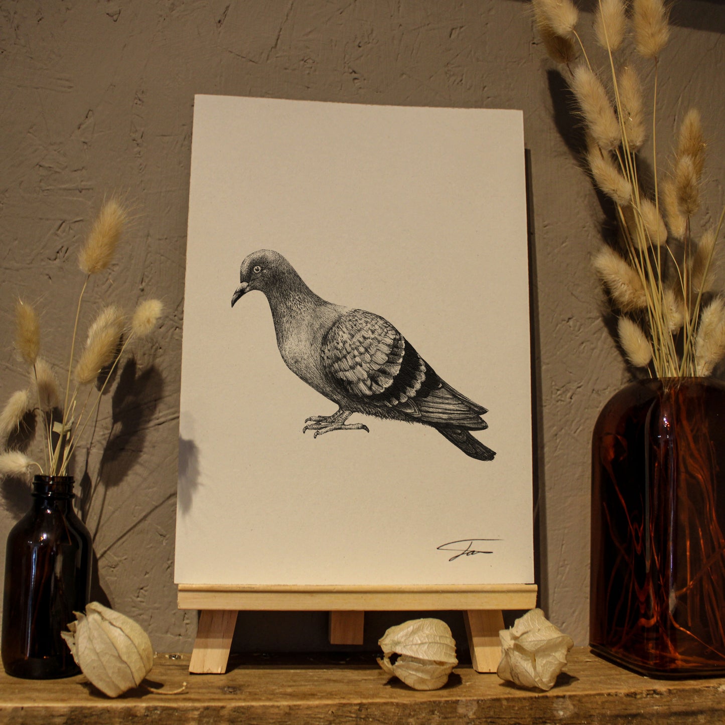 Pigeon Art Print