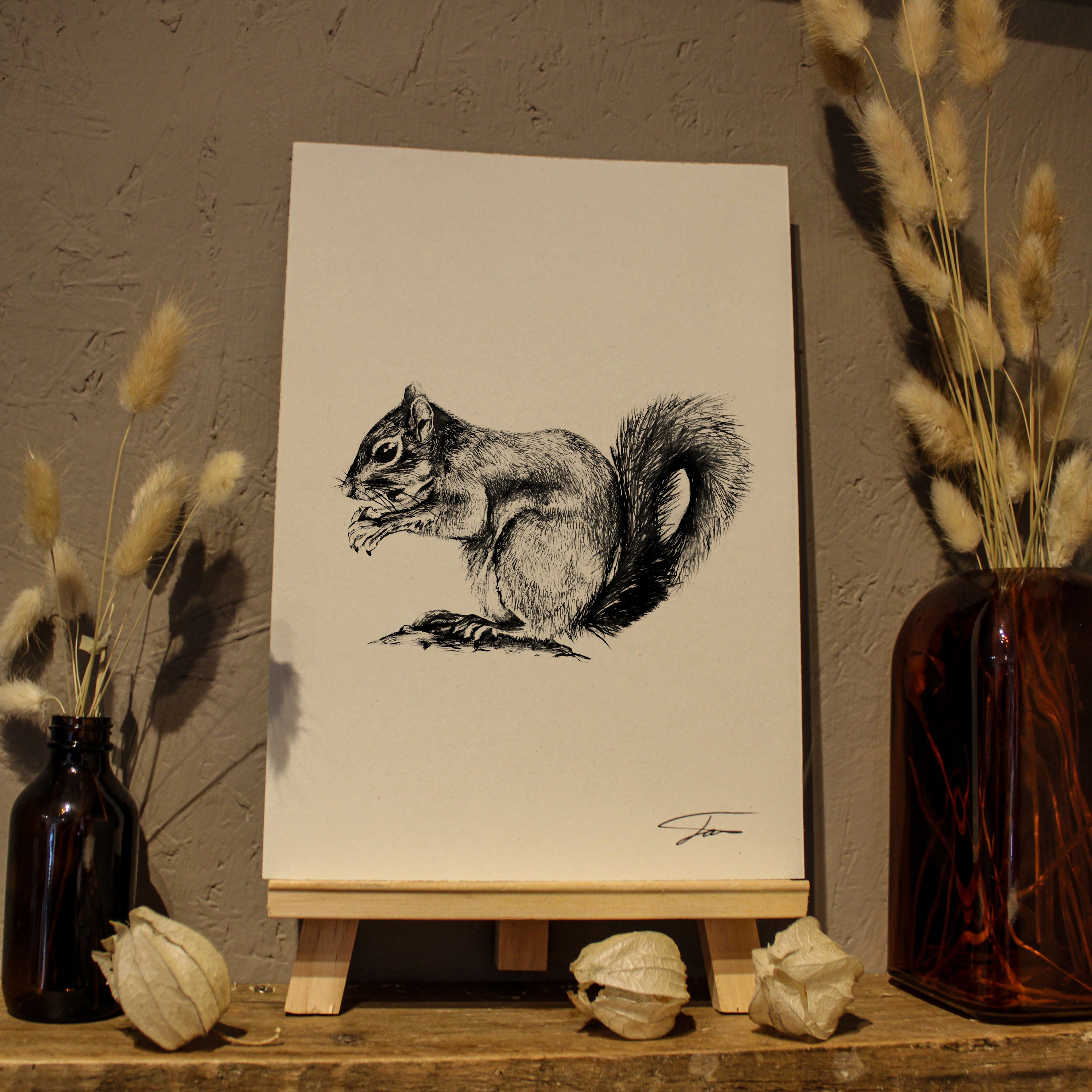 Squirrel Art Print