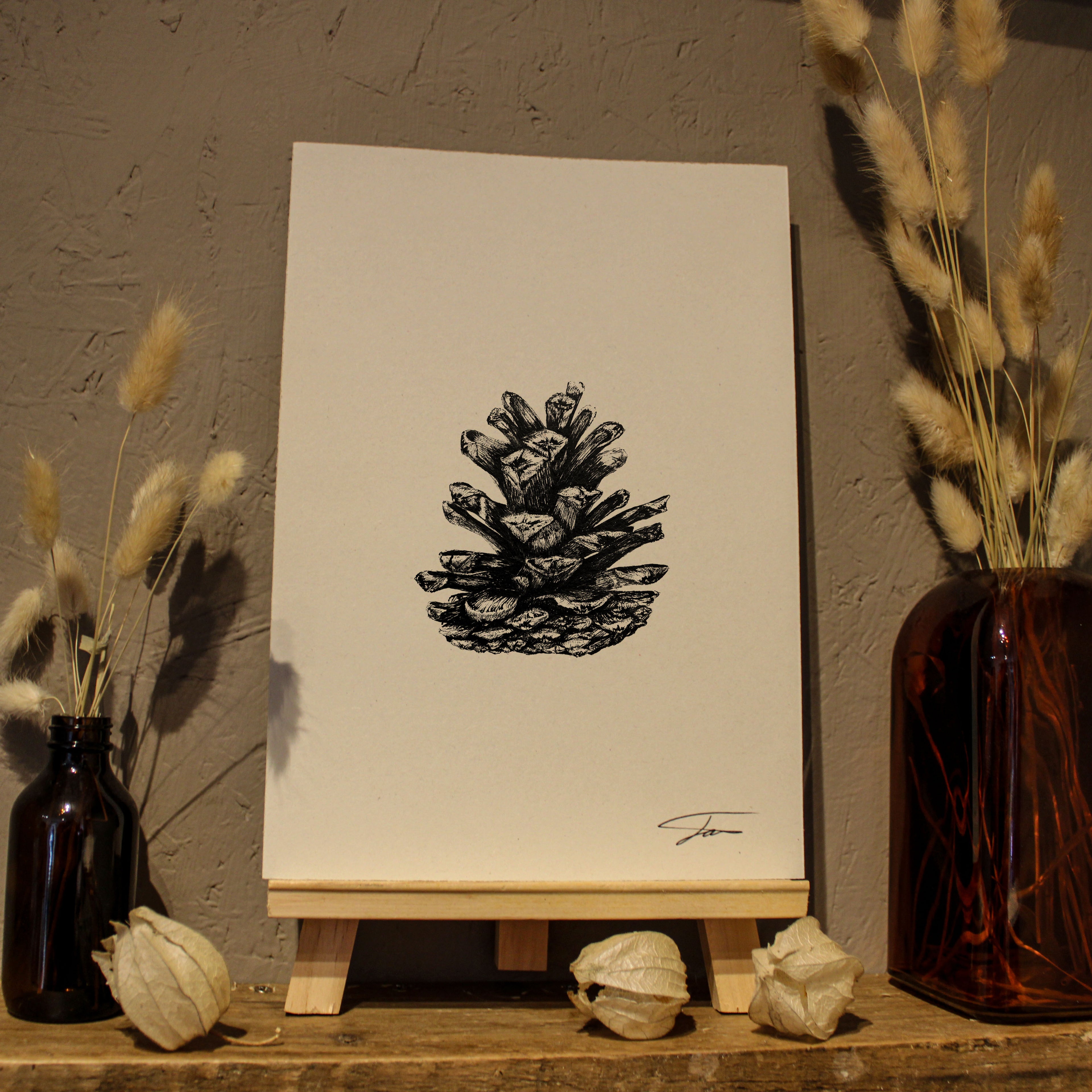 Pine Cone Art Print