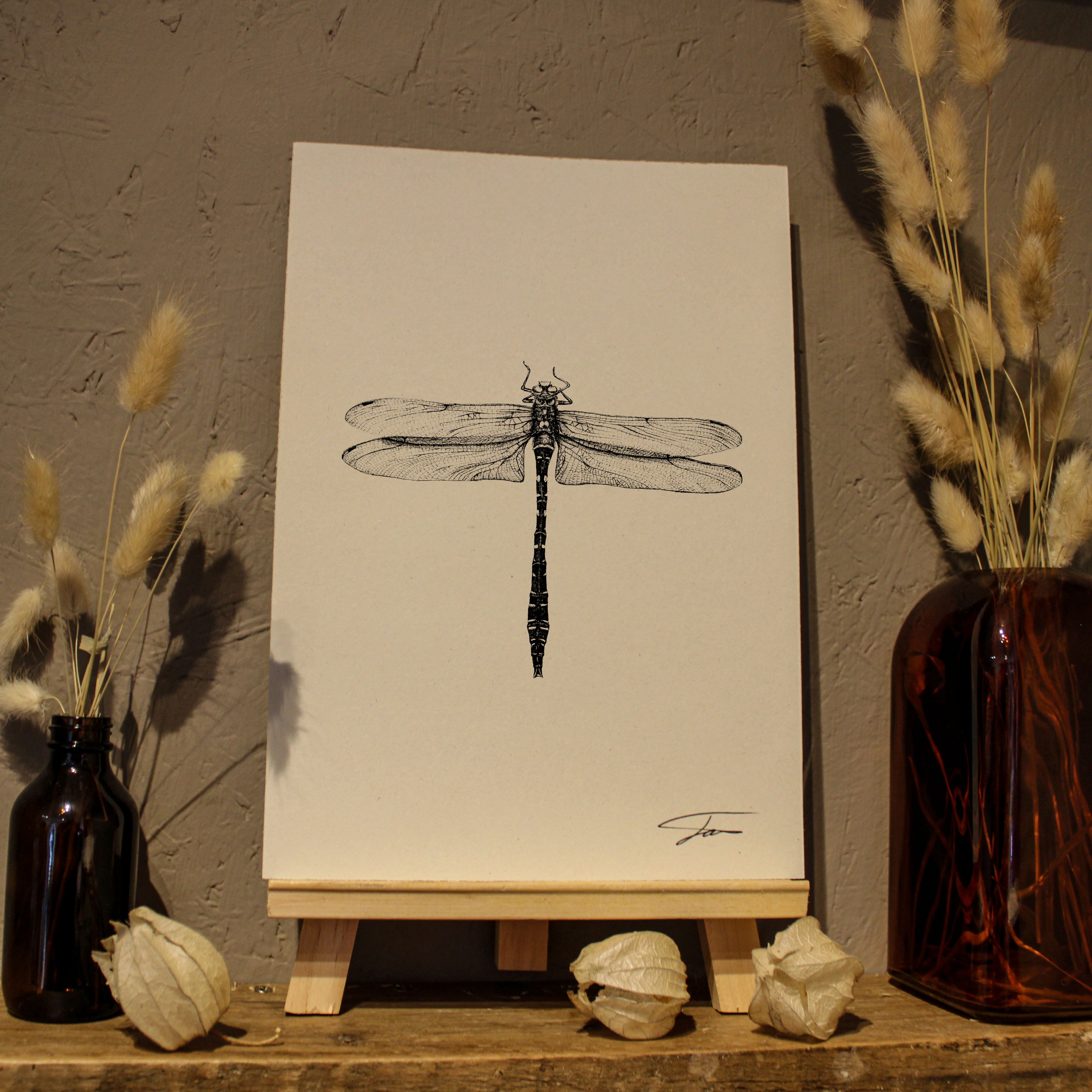 Dragonfly Art Print