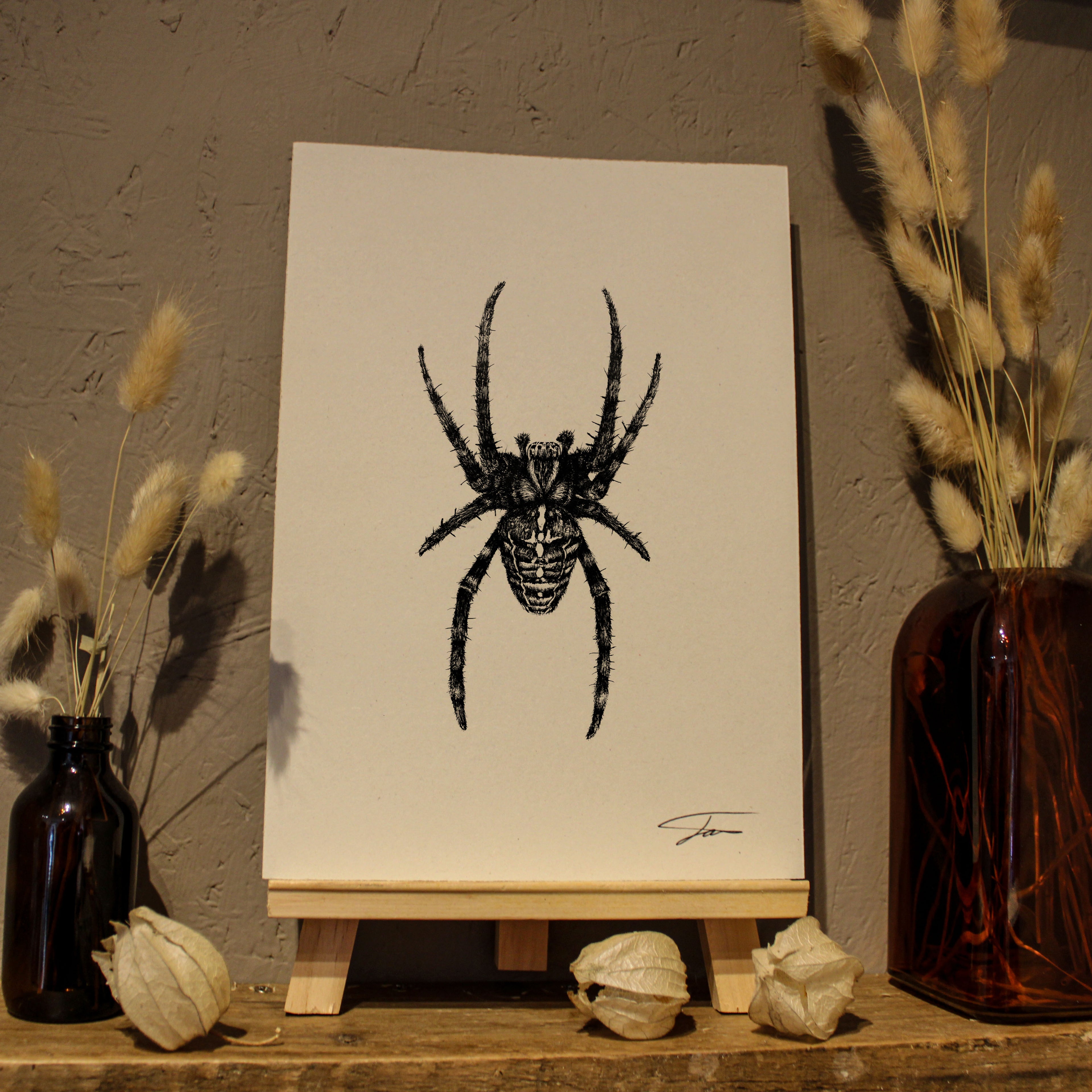Spider Art Print