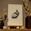 Rabbit Art Print