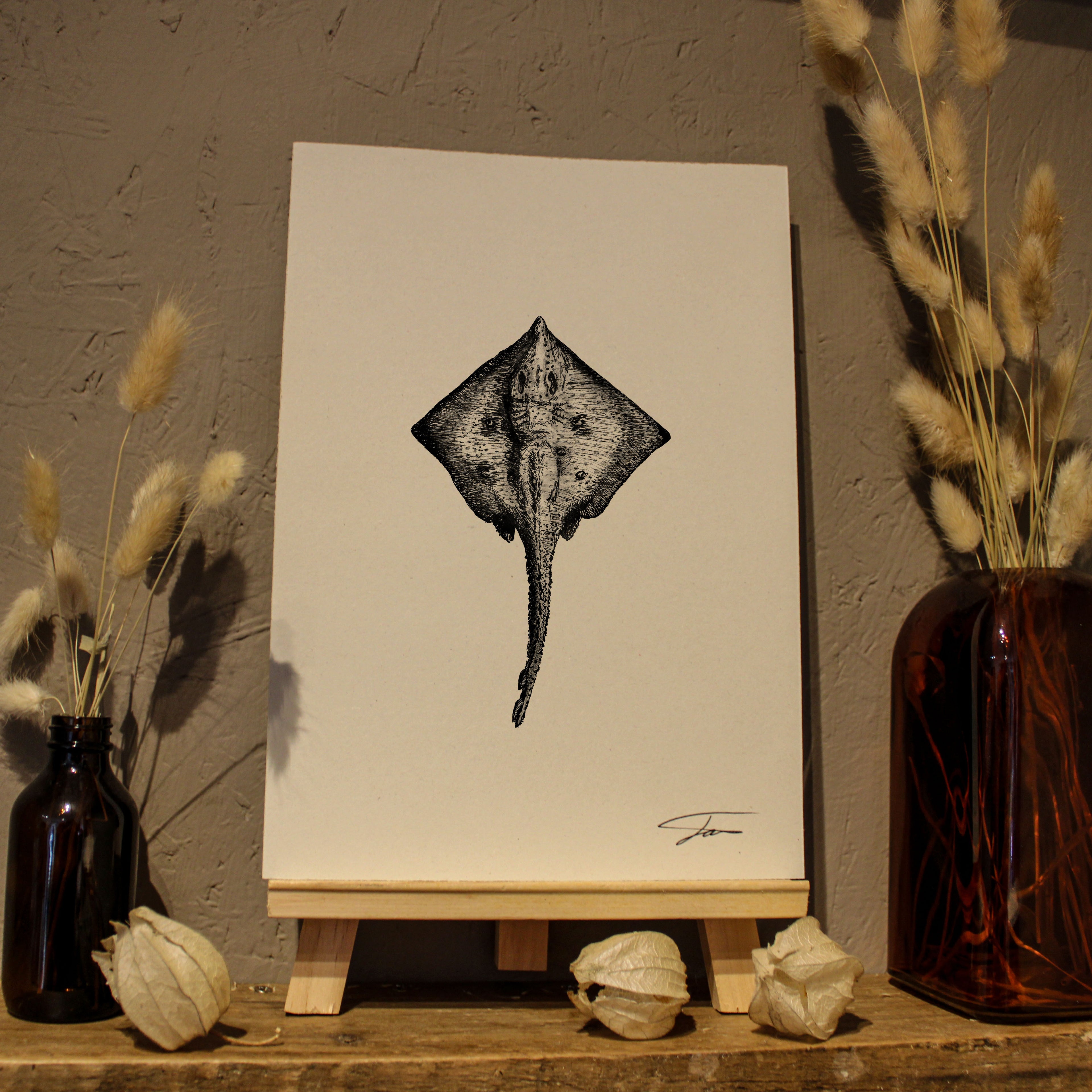Ray Art Print