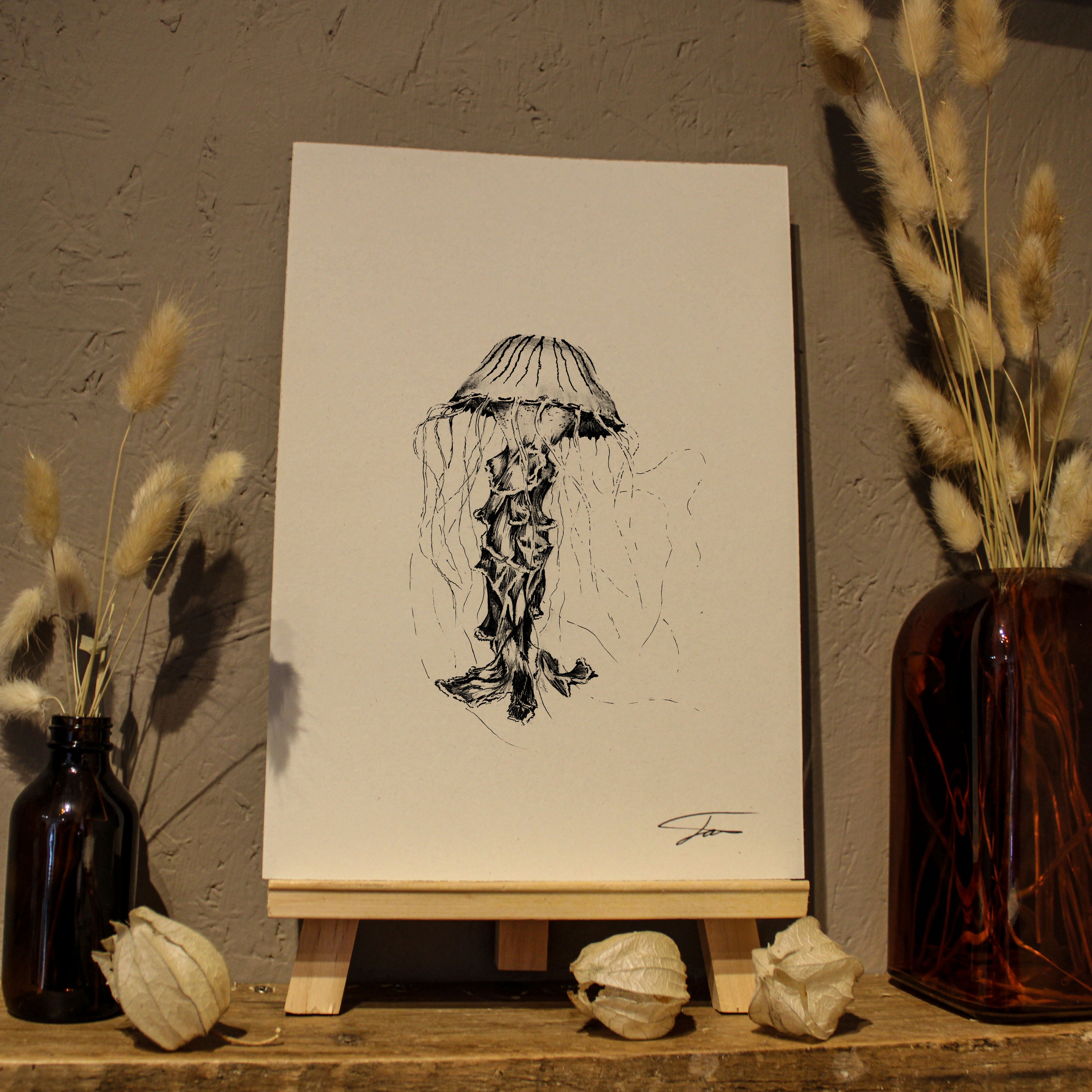 Jellyfish Art Print