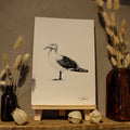 Seagull Art Print