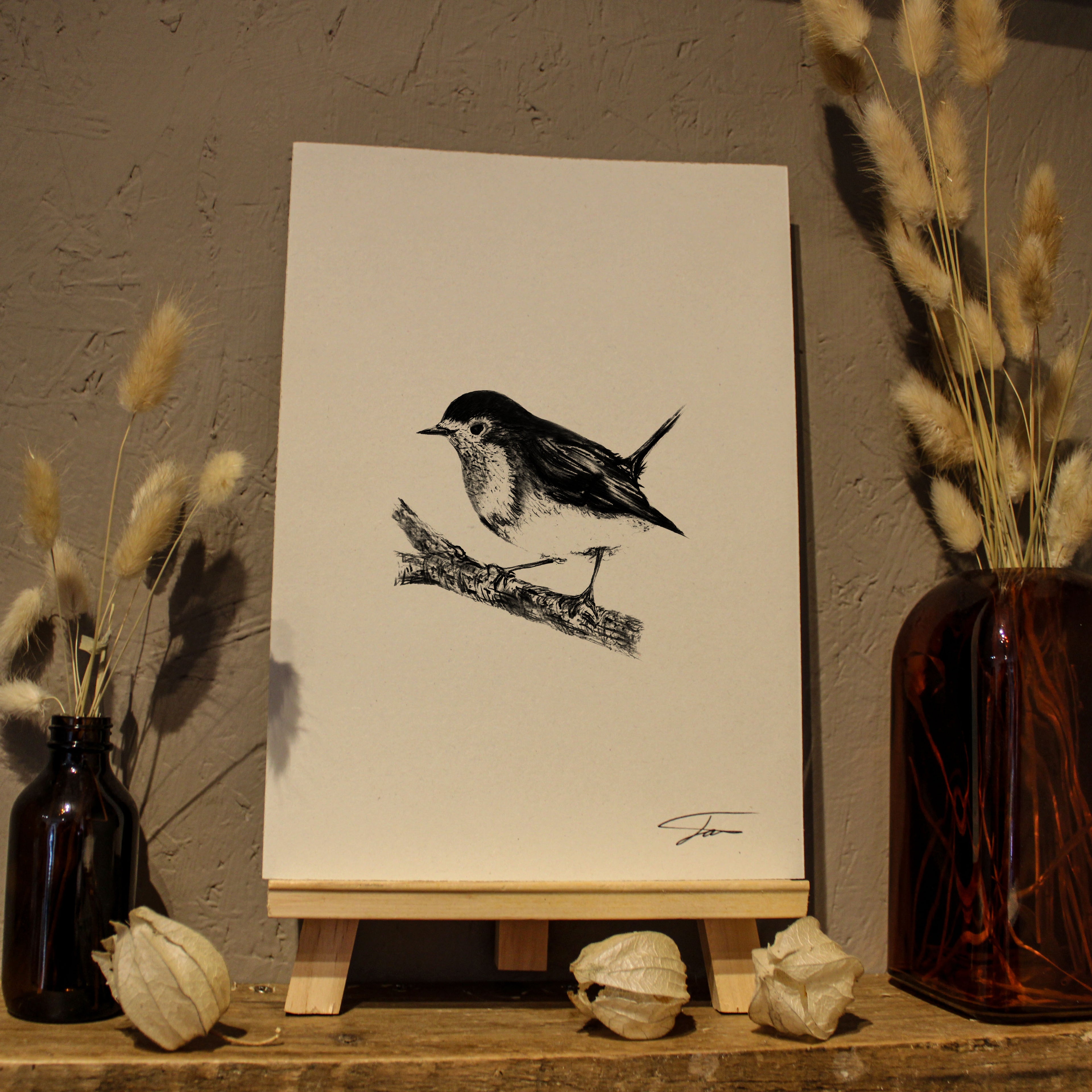 Robin Art Print