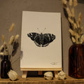 Butterfly Art Print
