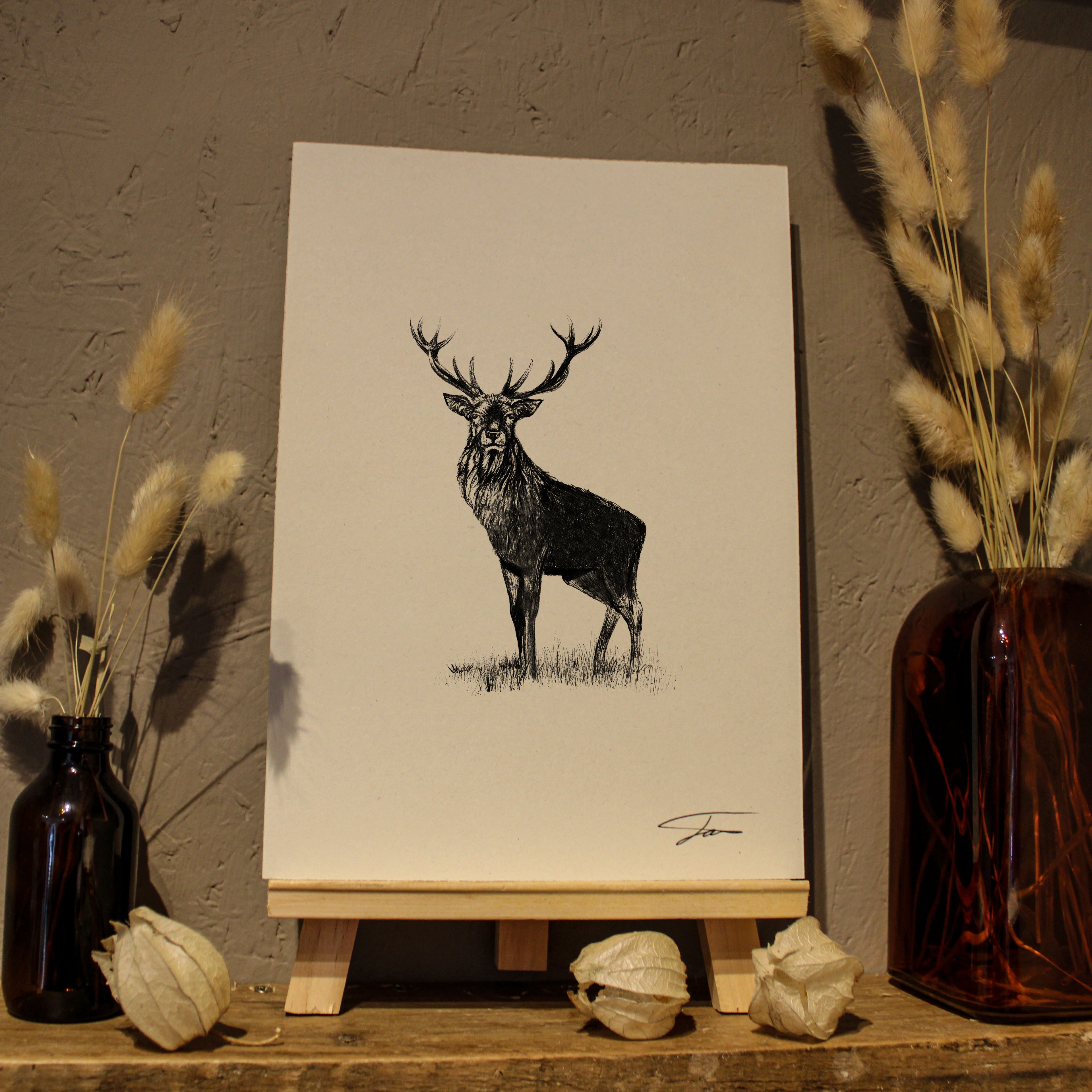 Stag Art Print