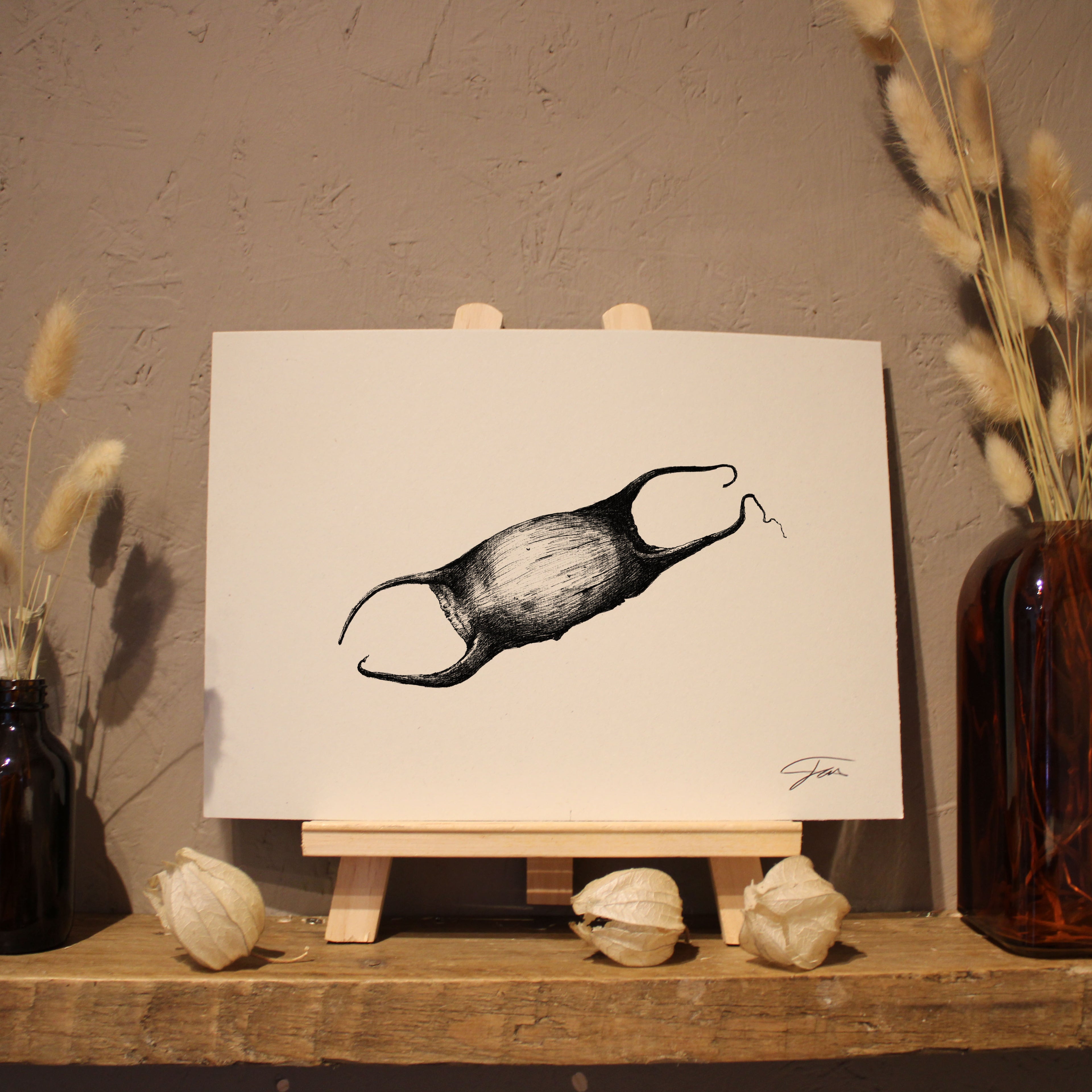 Mermaid's Purse Art Print