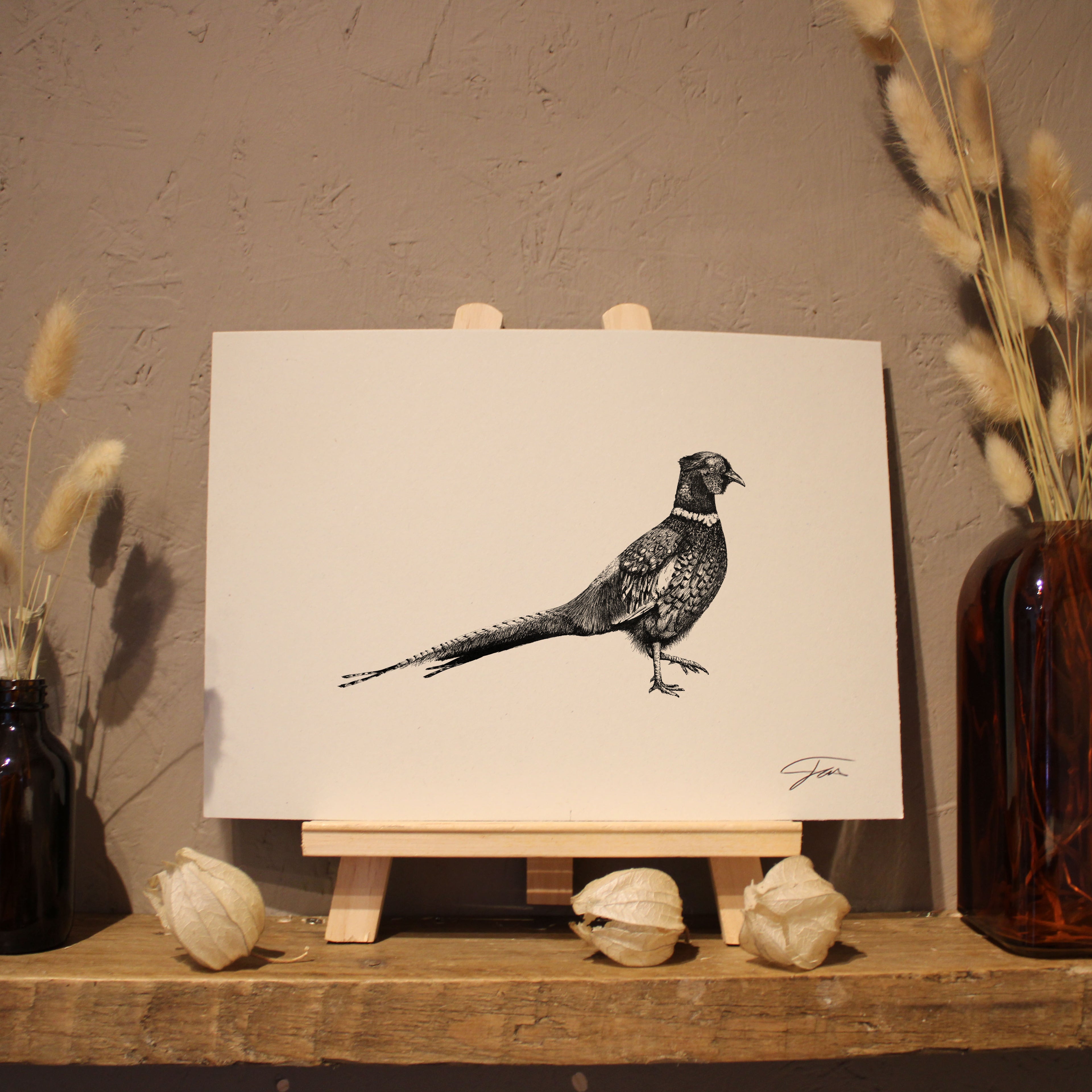 Pheasant Art Print