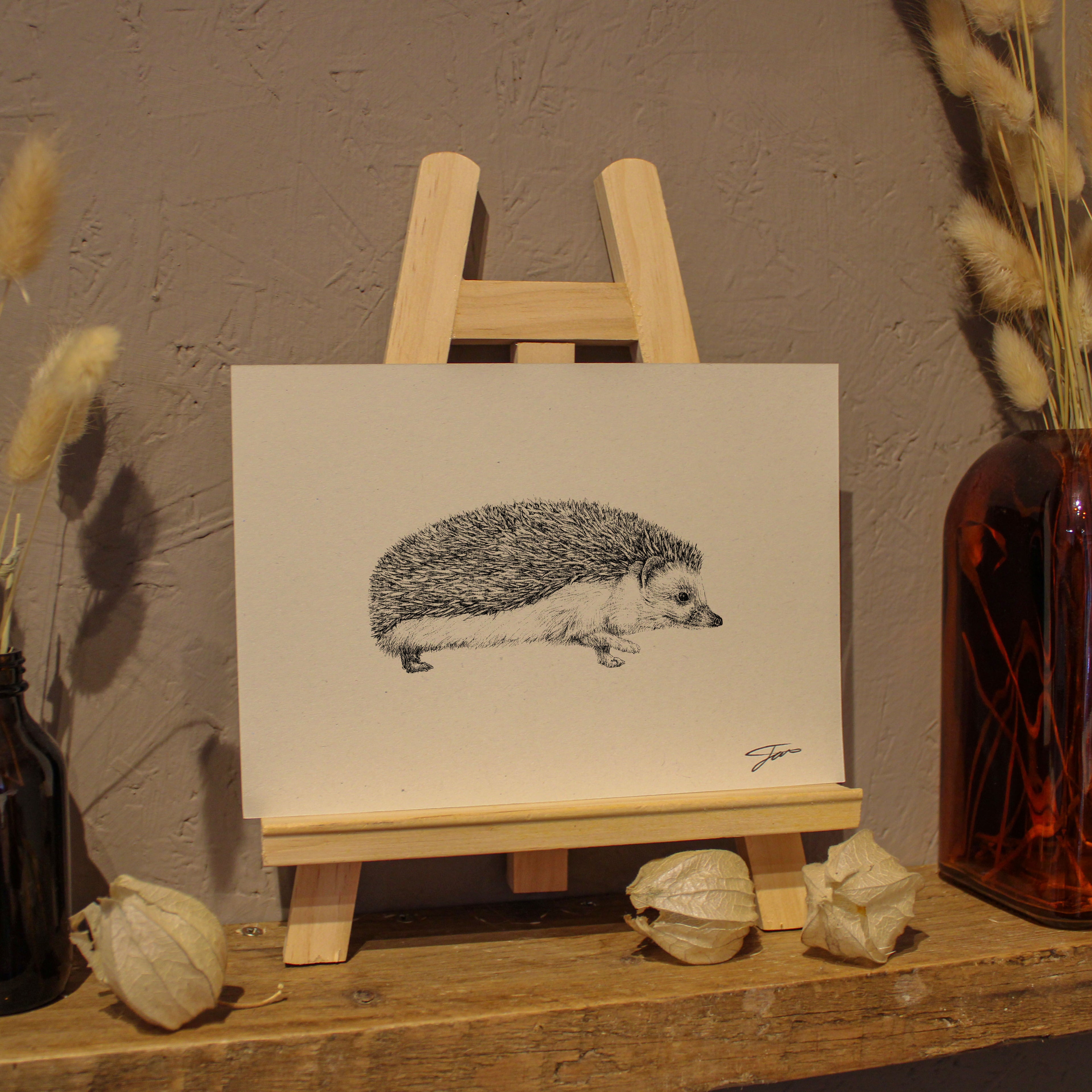 Hedgehog Art Print