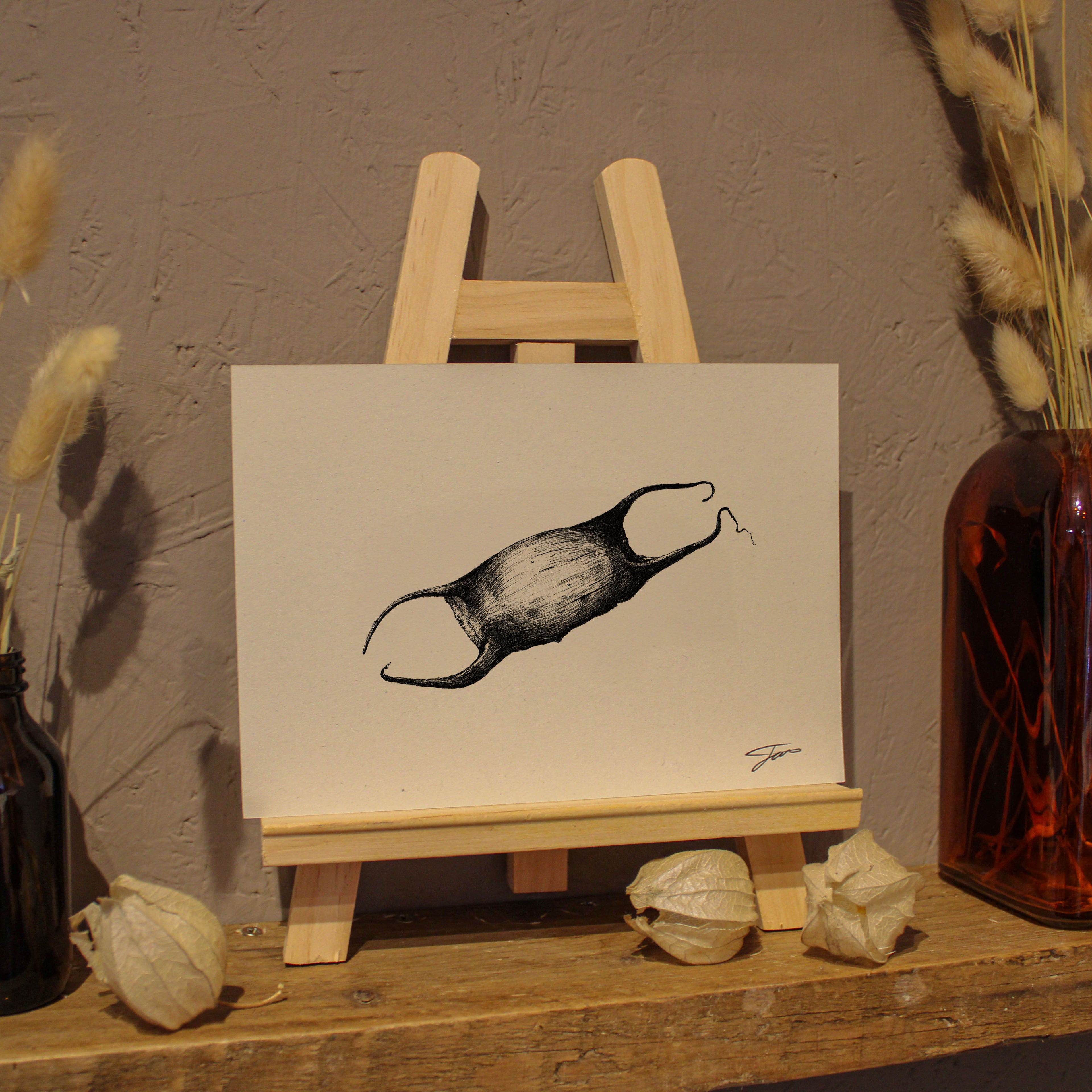 Mermaid's Purse Art Print