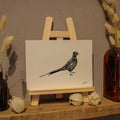 Pheasant Art Print