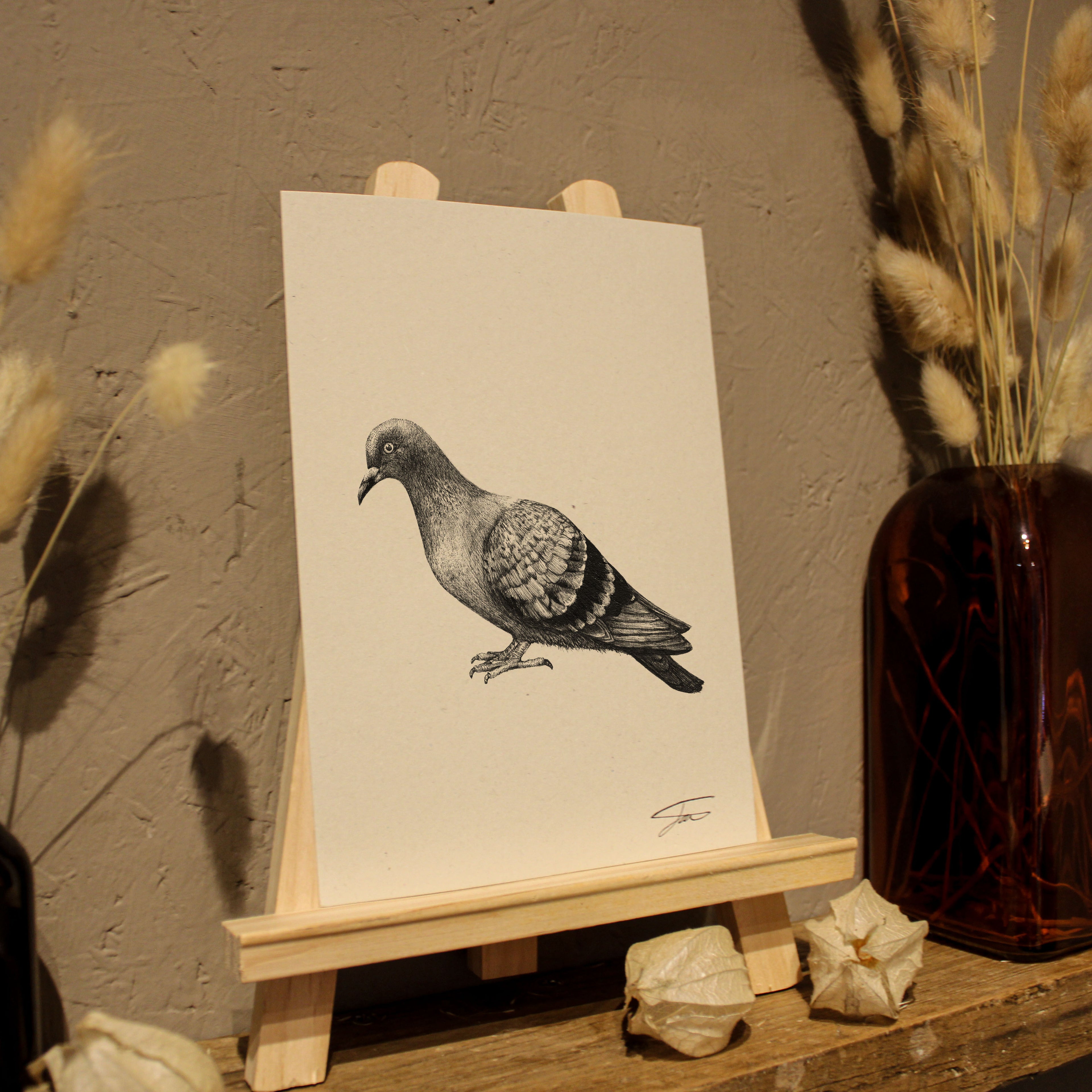 Pigeon Art Print