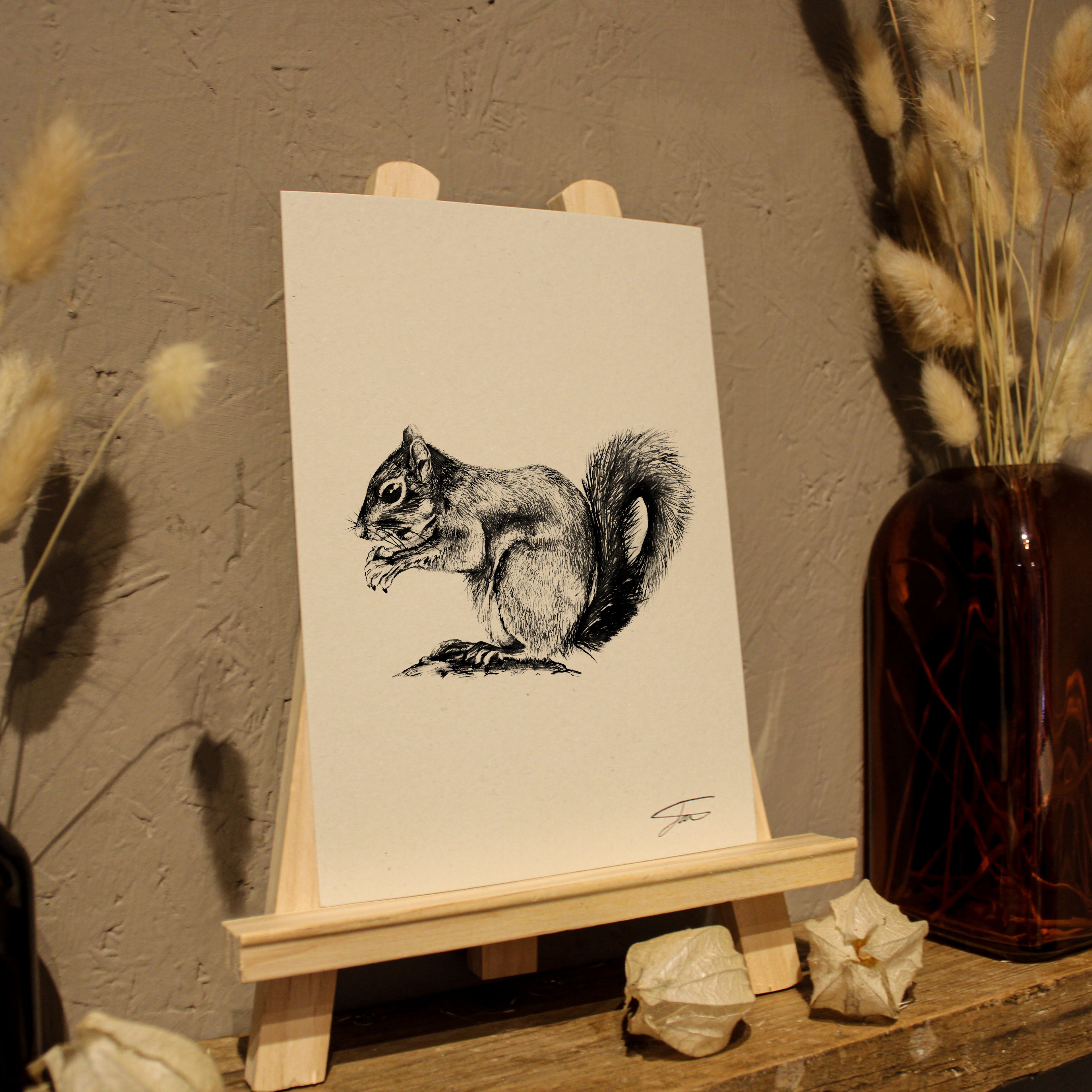 Squirrel Art Print