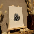 Pine Cone Art Print