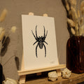 Spider Art Print