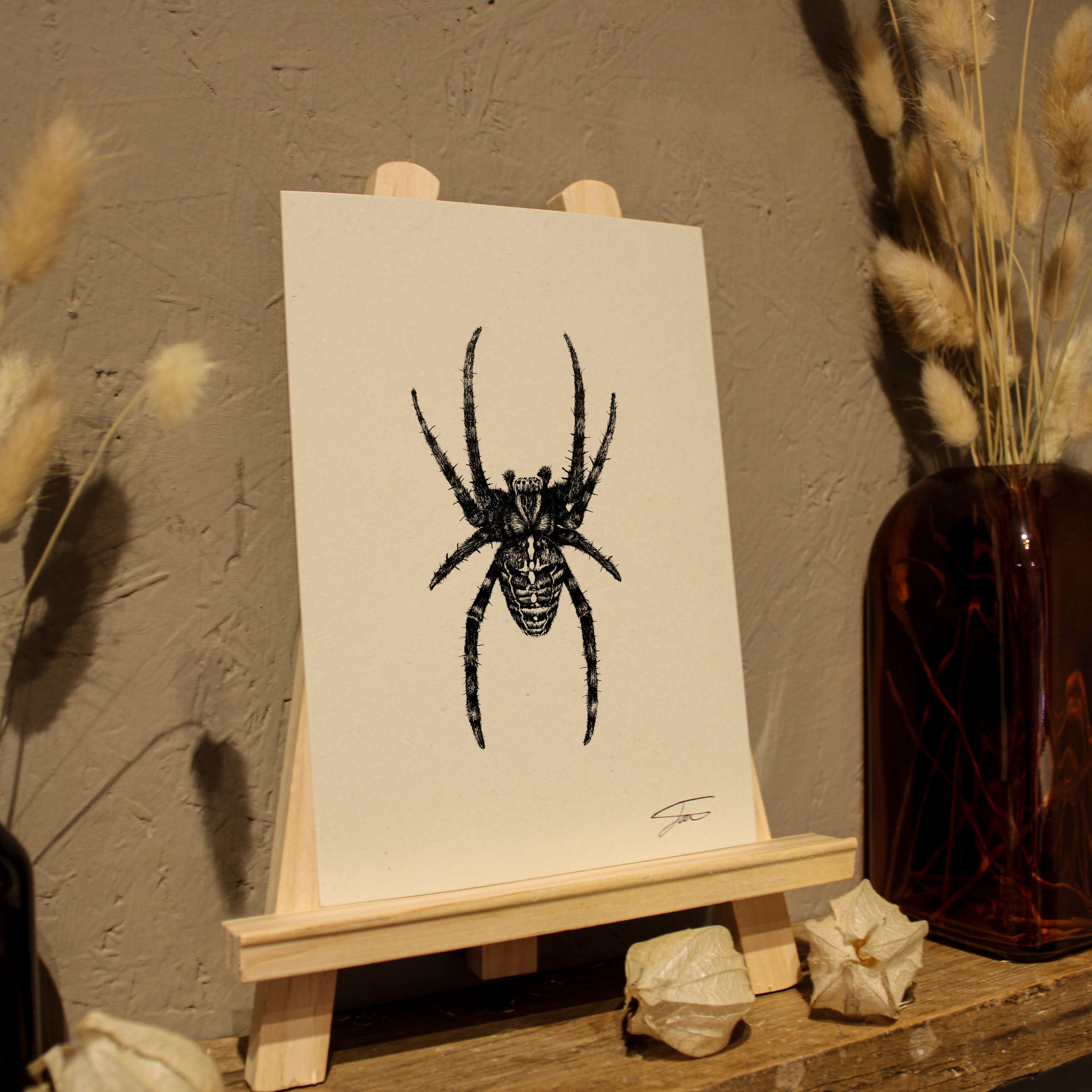 Spider Art Print