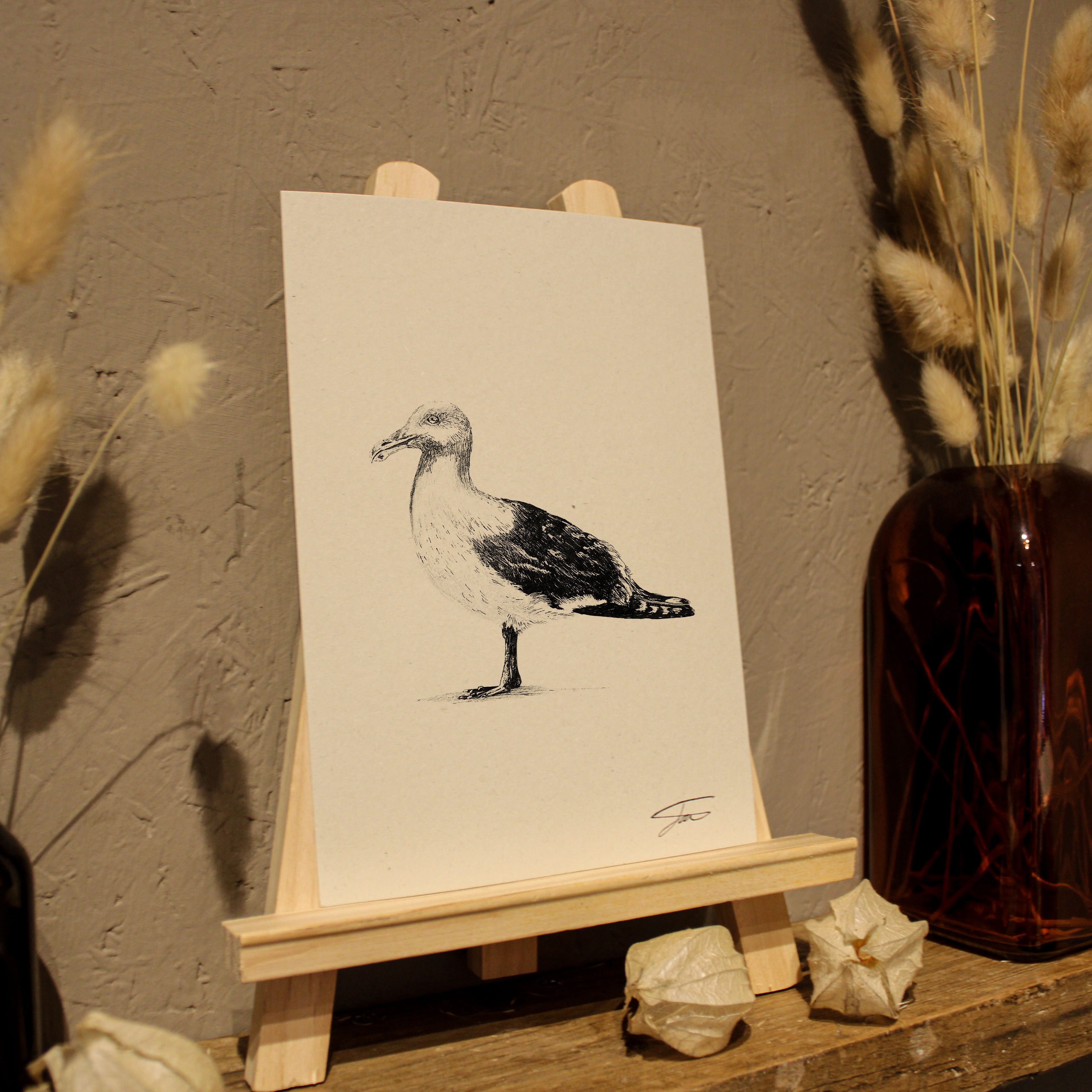 Seagull Art Print