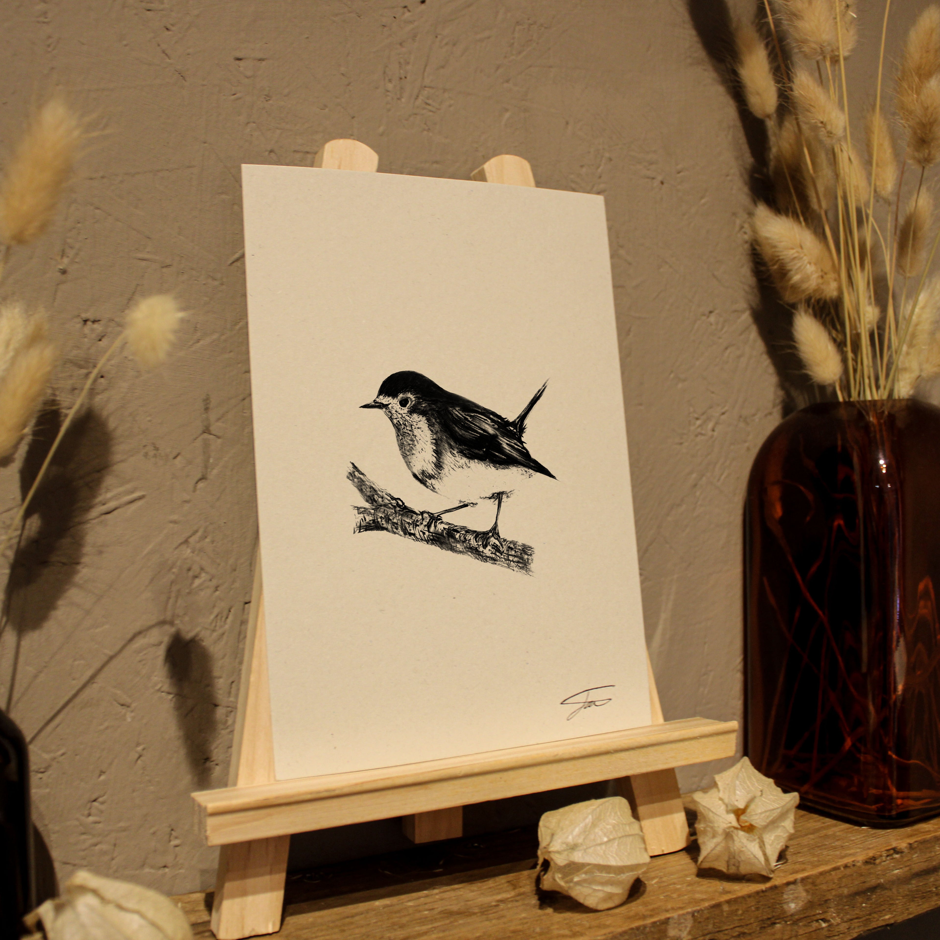 Robin Art Print