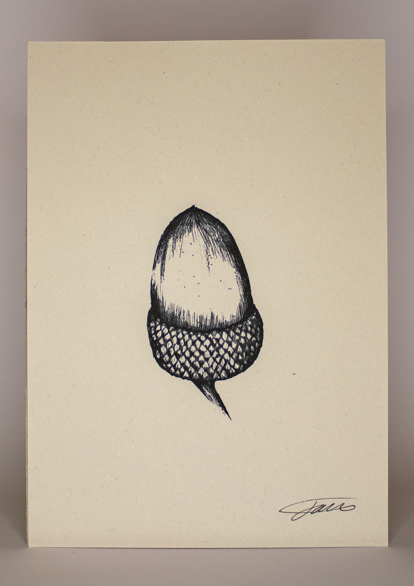 Acorn Art Print