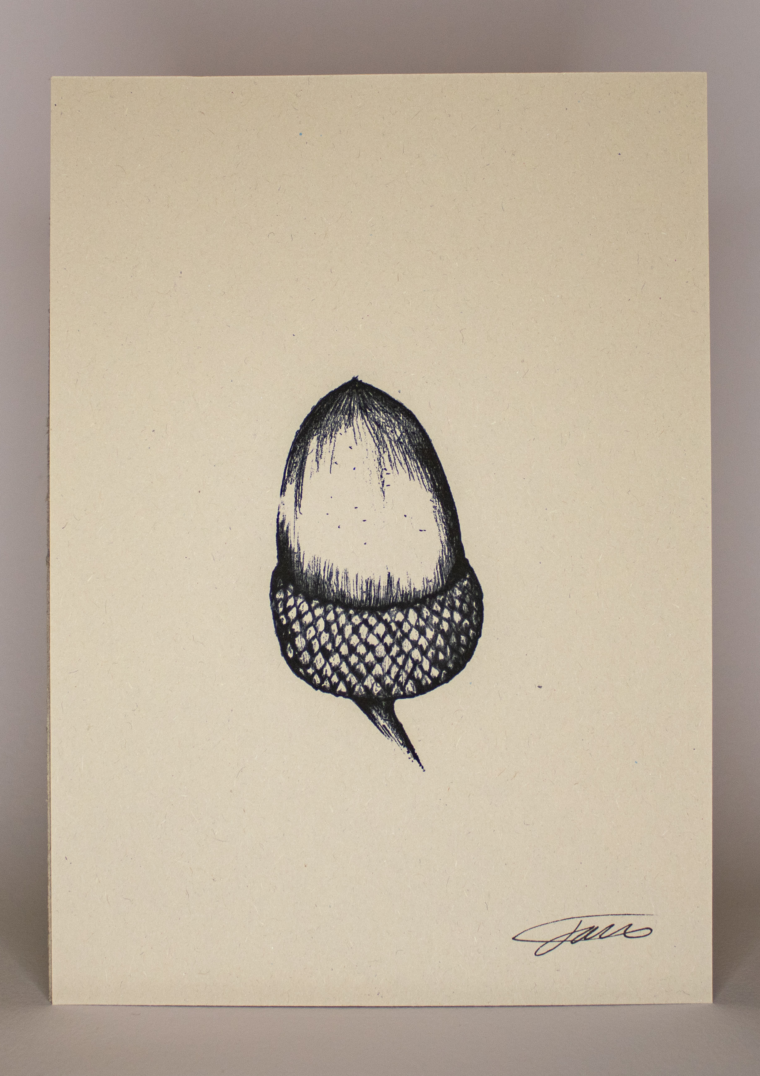 Acorn Wildlife Art Print