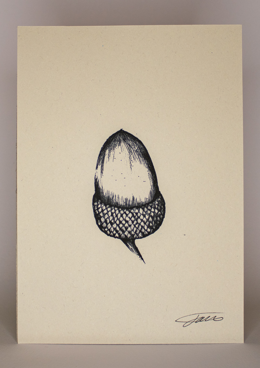 Acorn Wildlife Art Print