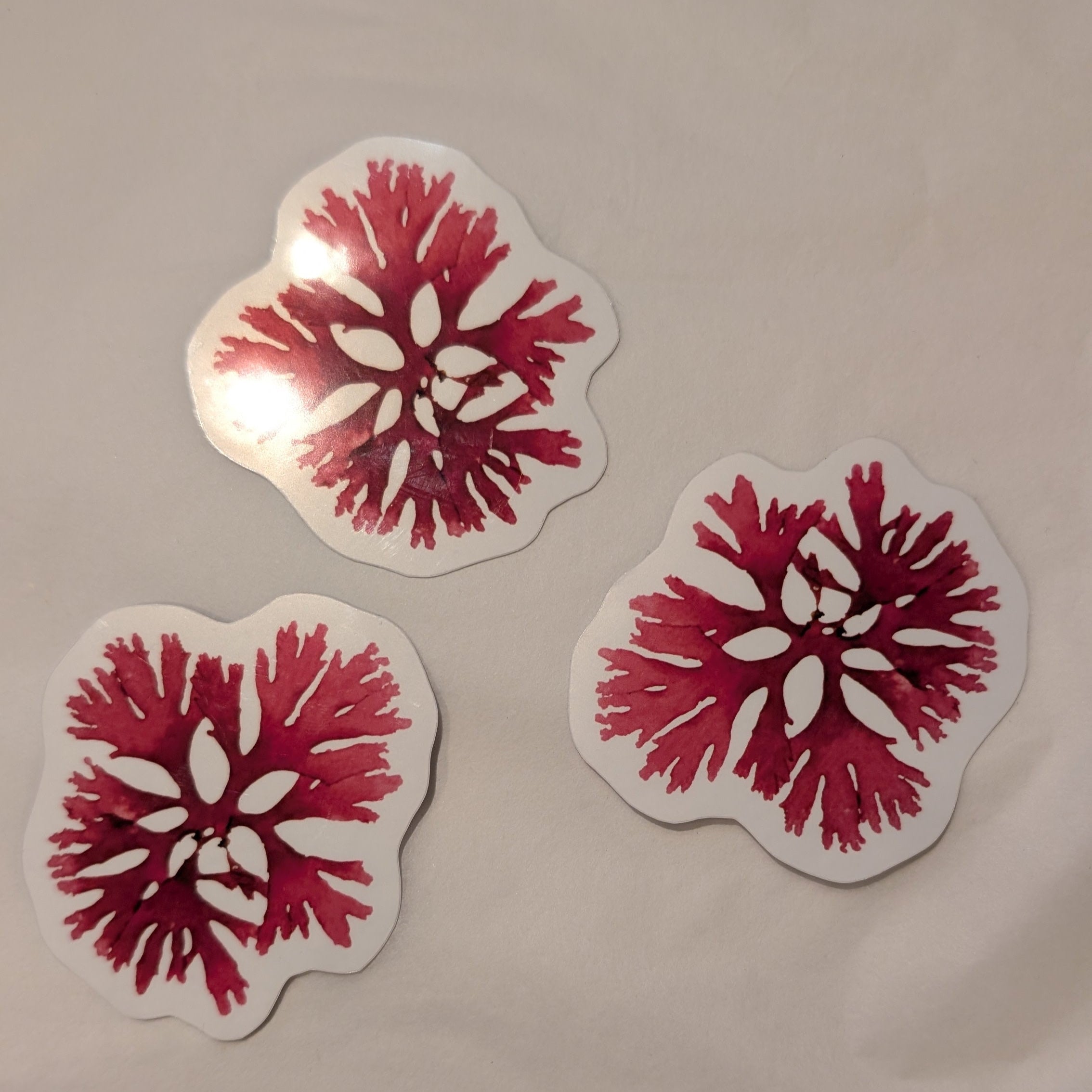 3 beautiful fan weed pink seaweed stickers