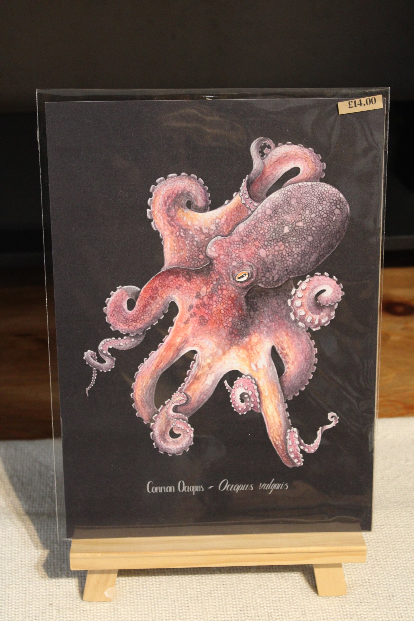 Black Illustrated Octopus Print 