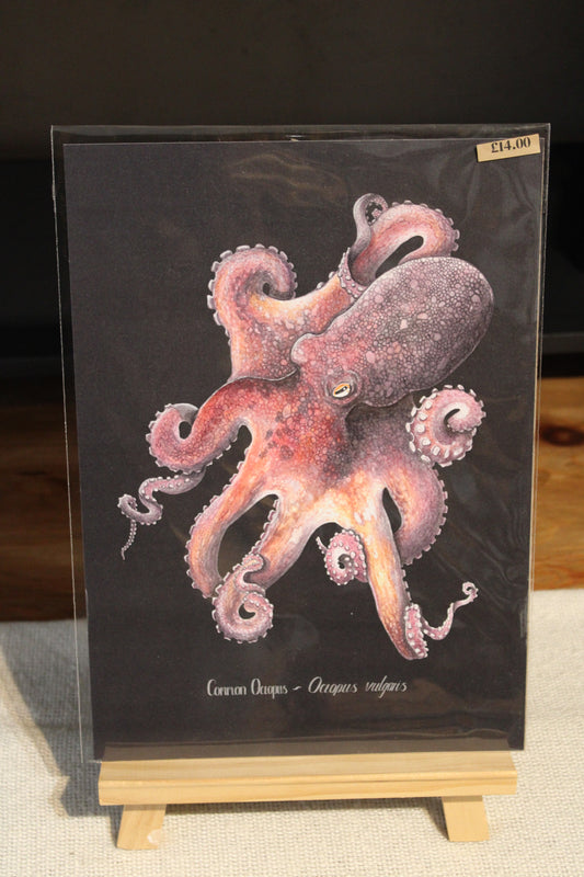 Black Illustrated Octopus Print 