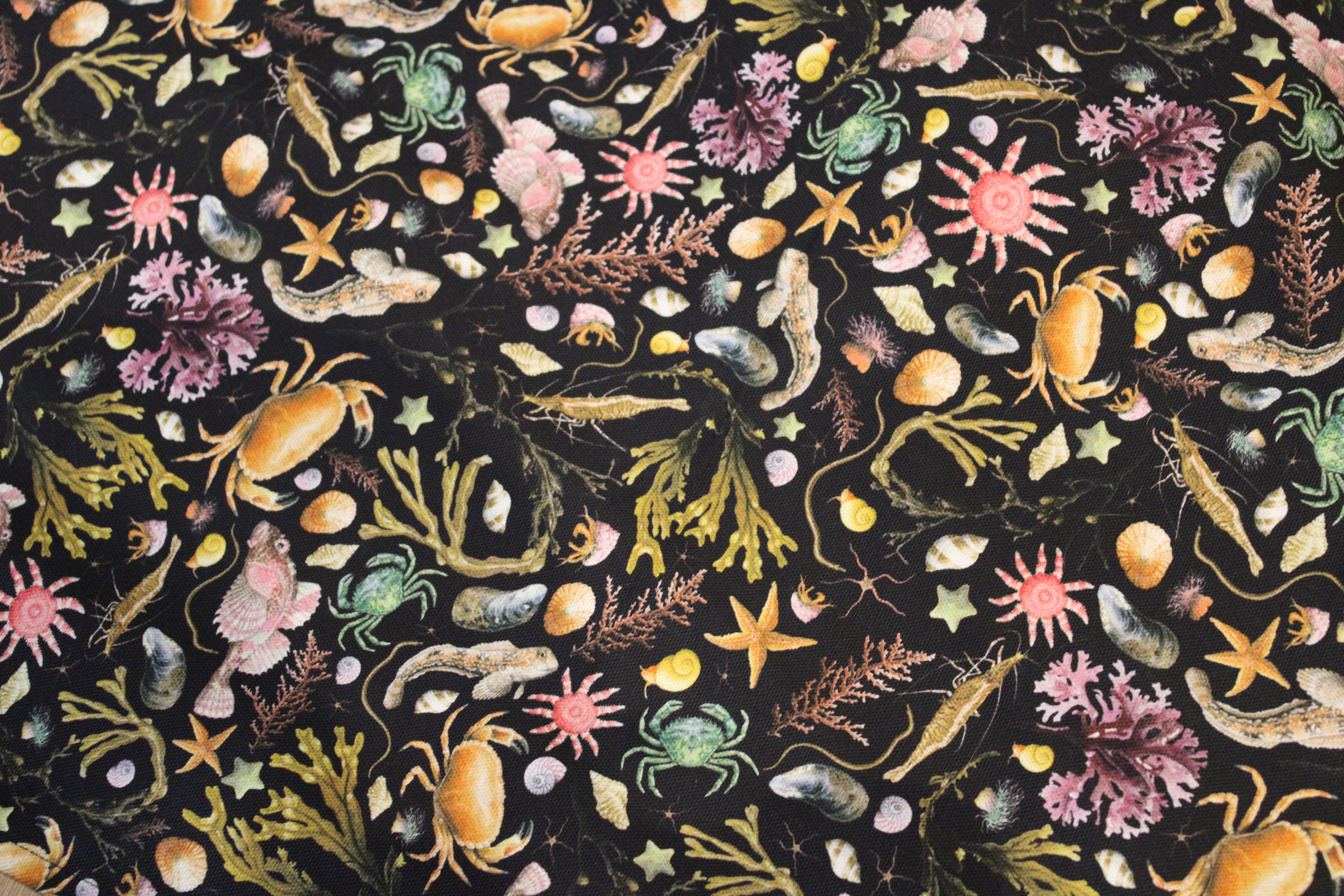 Black Illustrated Rockpool Coastal Sea Creatures Pattern Print - Crabs, Fish, Seaweed, Shells, Starfish and Anemones