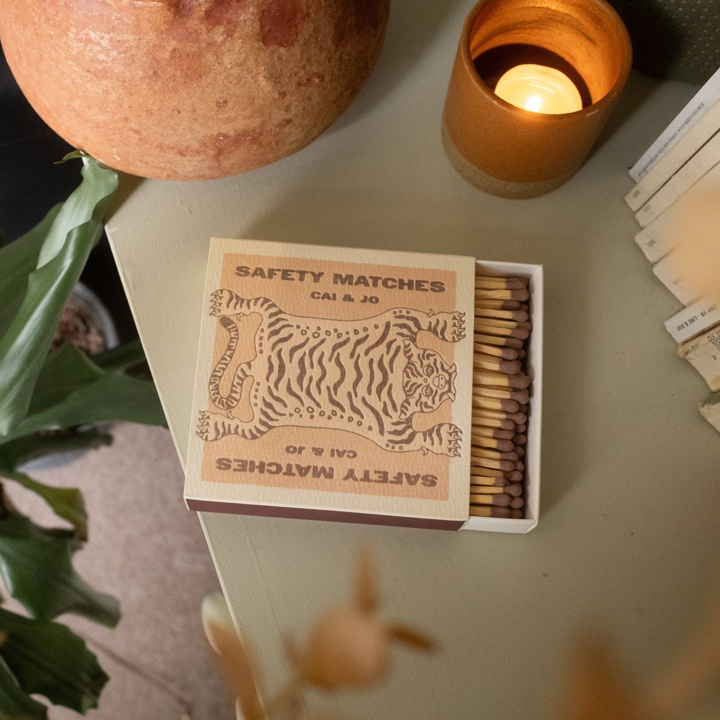 Brown Matches in Tiger Matchbox