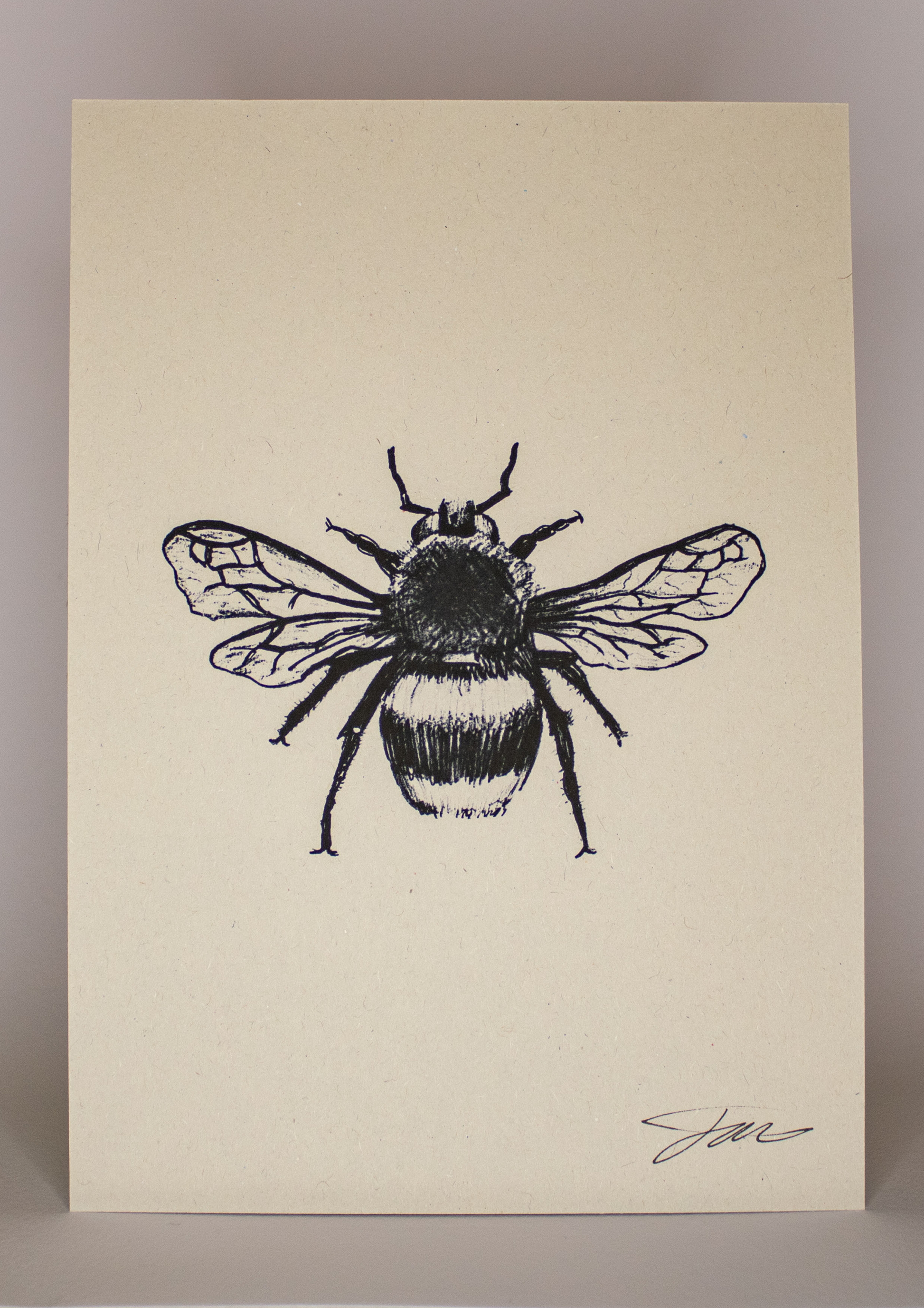 Bumblebee Wildlife Art Print