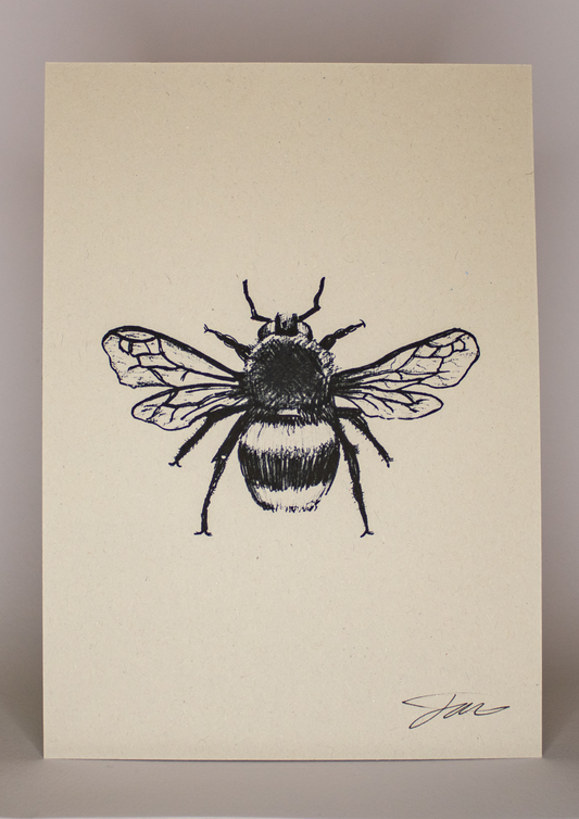 Bumblebee Wildlife Art Print