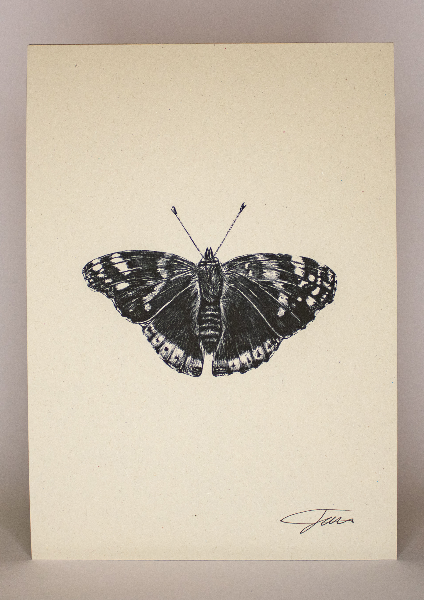 Butterfly Art Print